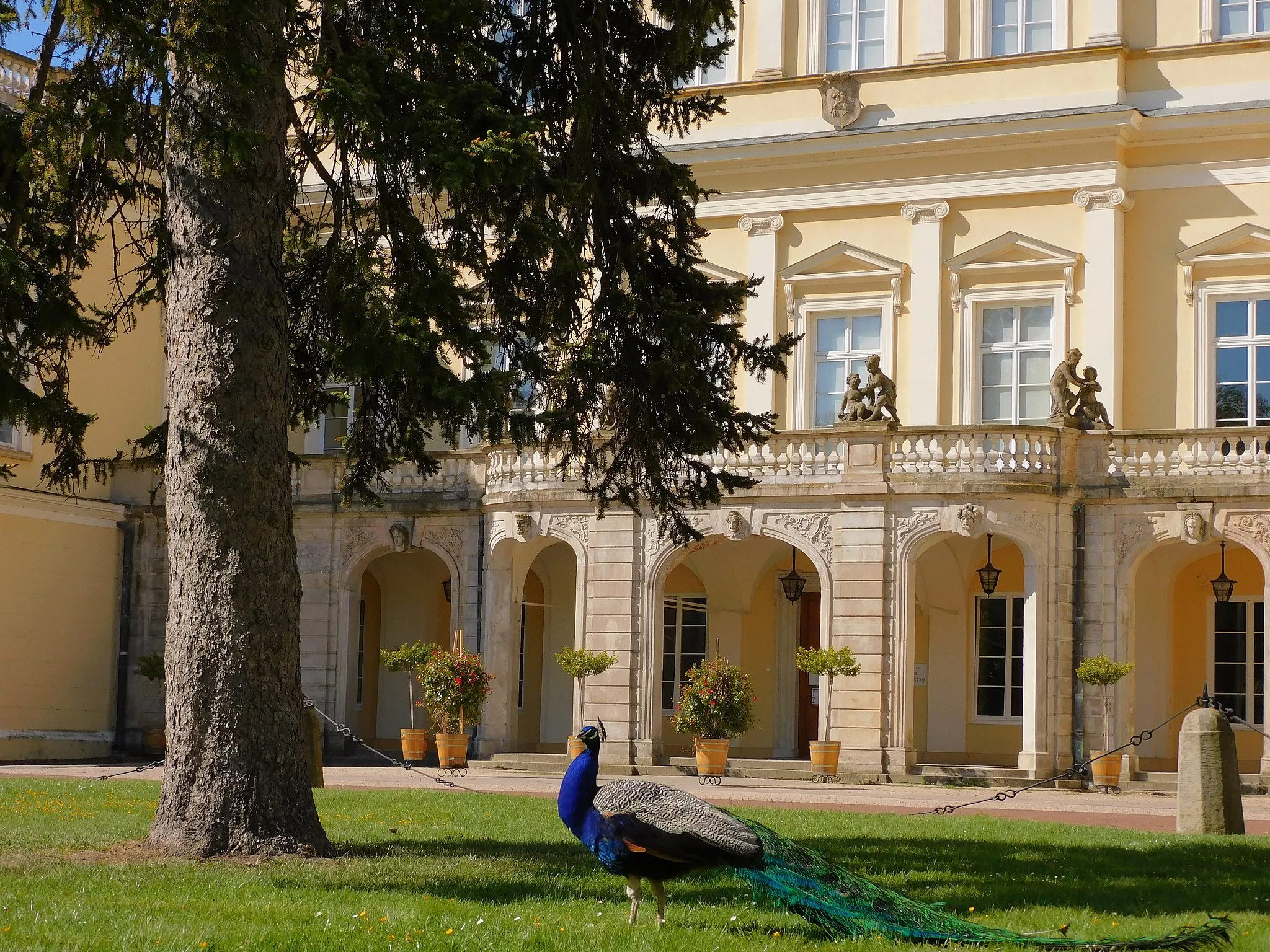 Photo showing: Dawna rezydencja książąt Czartoryskich