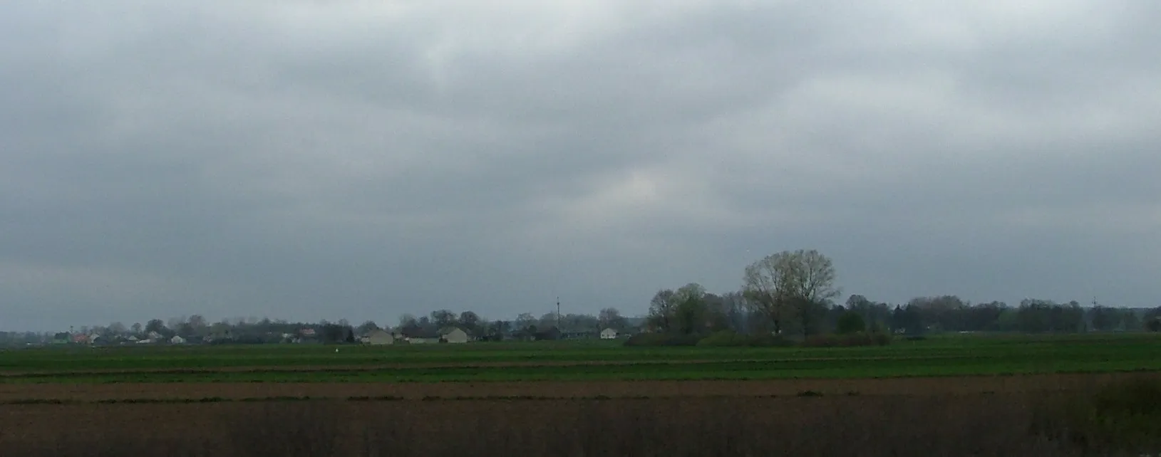 Photo showing: Strzyżowice - wieś w województwie lubelskim, w powiecie puławskim, w gminie Żyrzyn.