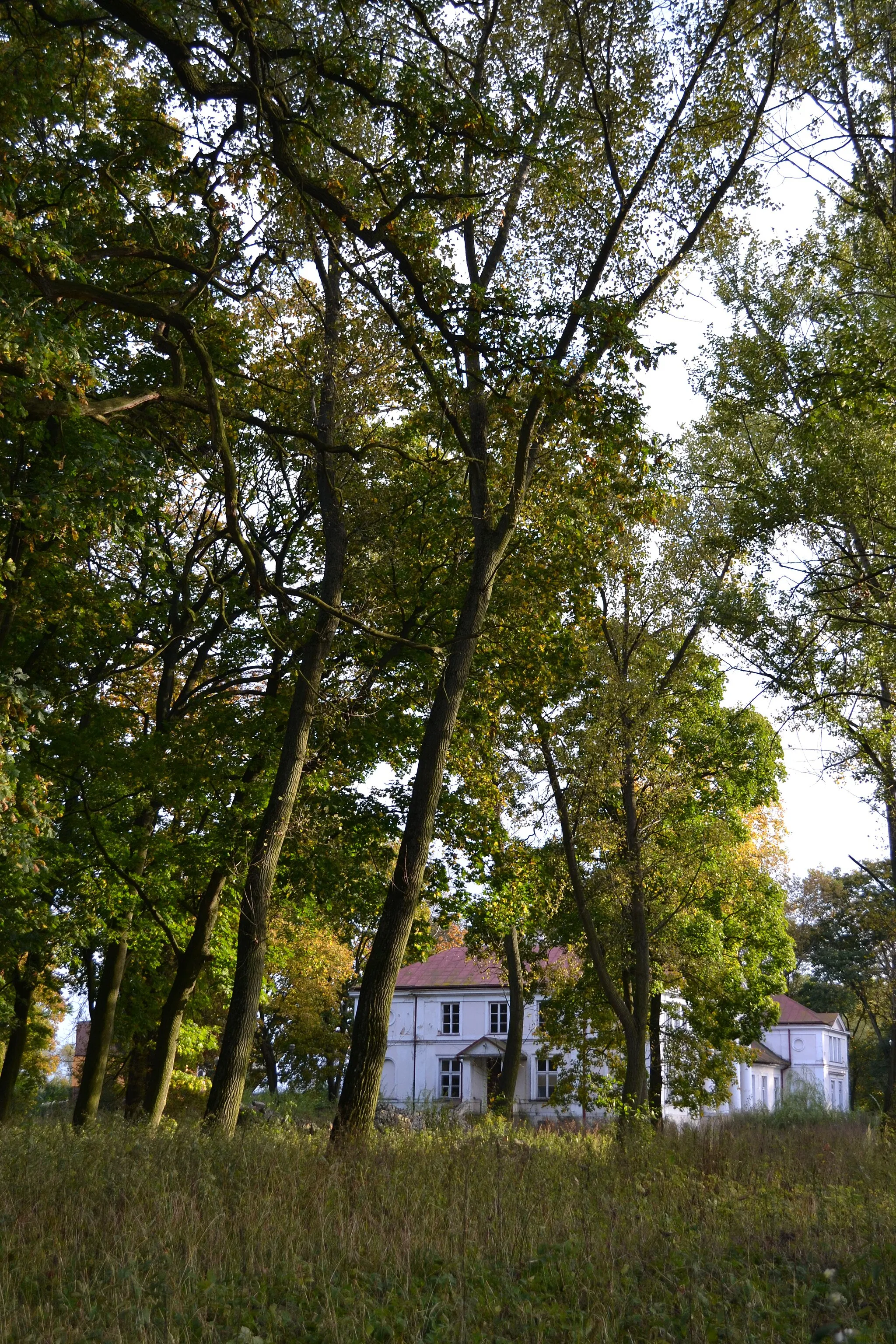 Photo showing: Samoklęski, pałac, XVIII