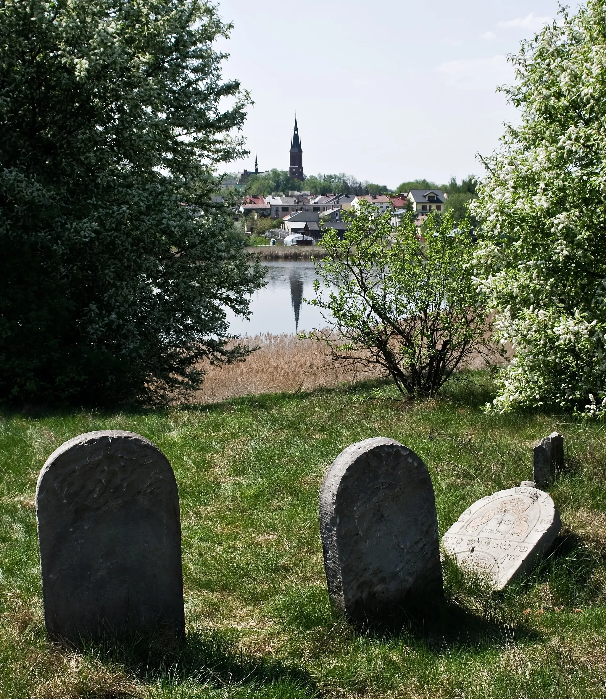 Photo showing: Jewish cemetery in Ryki