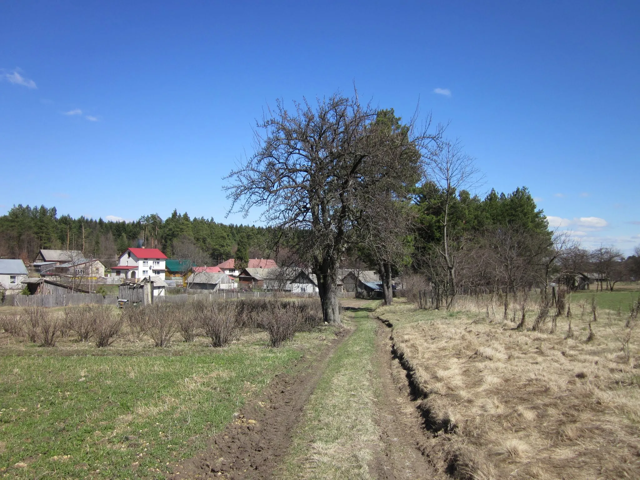 Photo showing: Gmina Bełżec, Poland