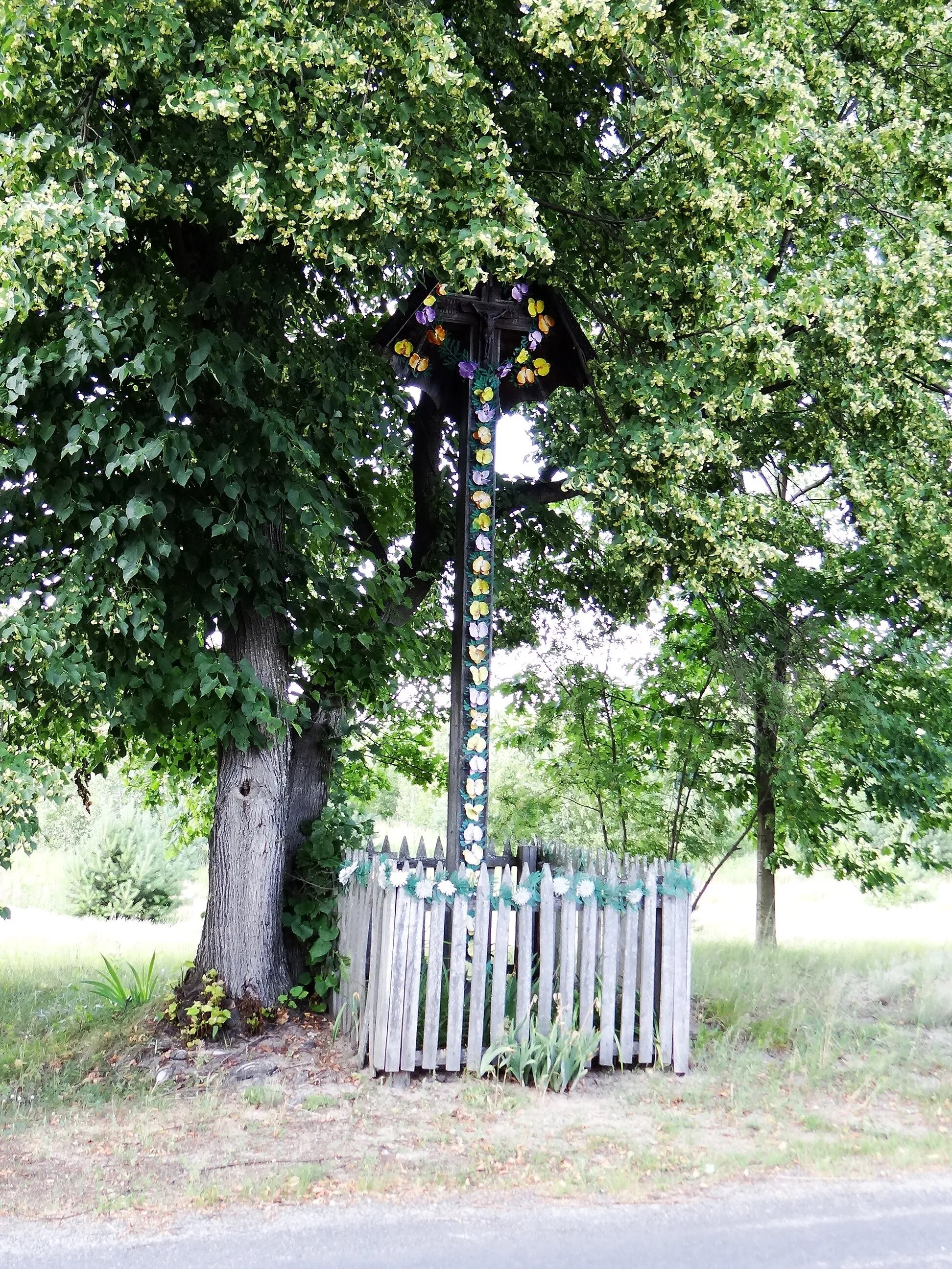 Photo showing: Zdjęcie wykonane w miejscowości Szeliga, powiat niżański.