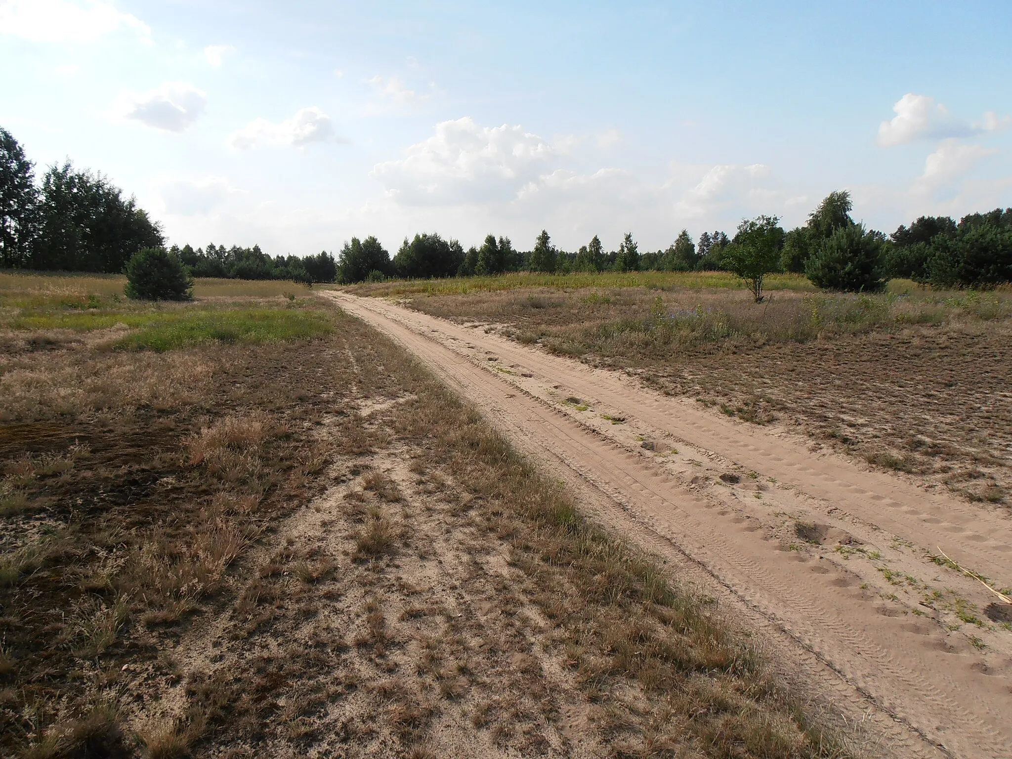 Photo showing: Gmina Krzywda – krajobraz z okolic wsi Drożdżak.