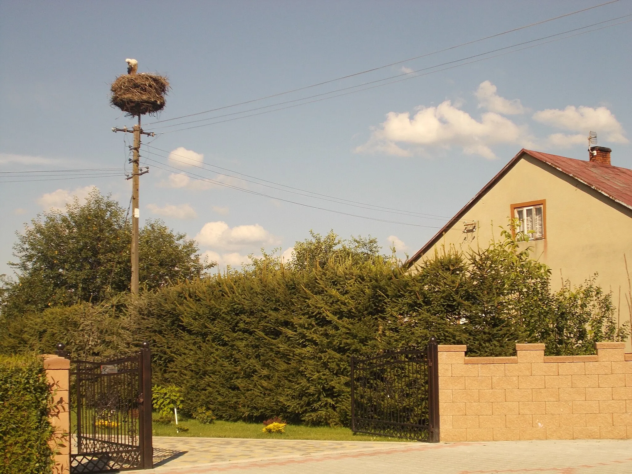 Photo showing: Bocianie gniazdo w miejscowości Krowica Lasowa 43