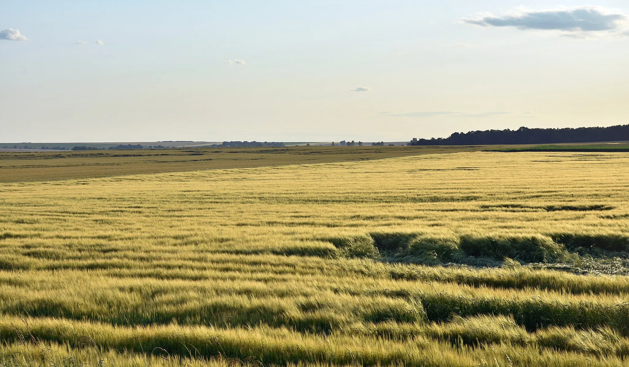 Photo showing: wieś Machnów Nowy