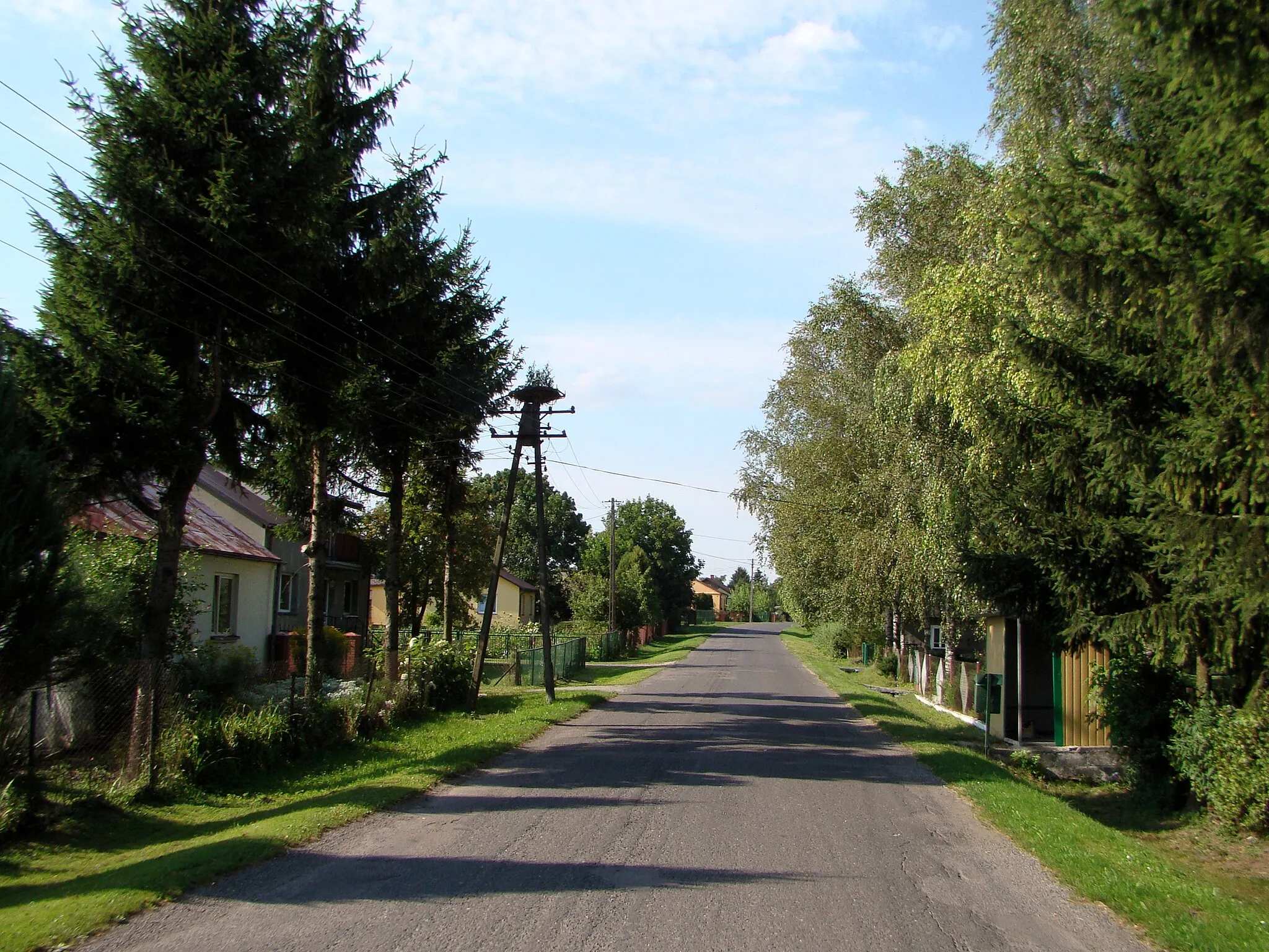Photo showing: Silnice ve vsnici Gozdów, Polsko