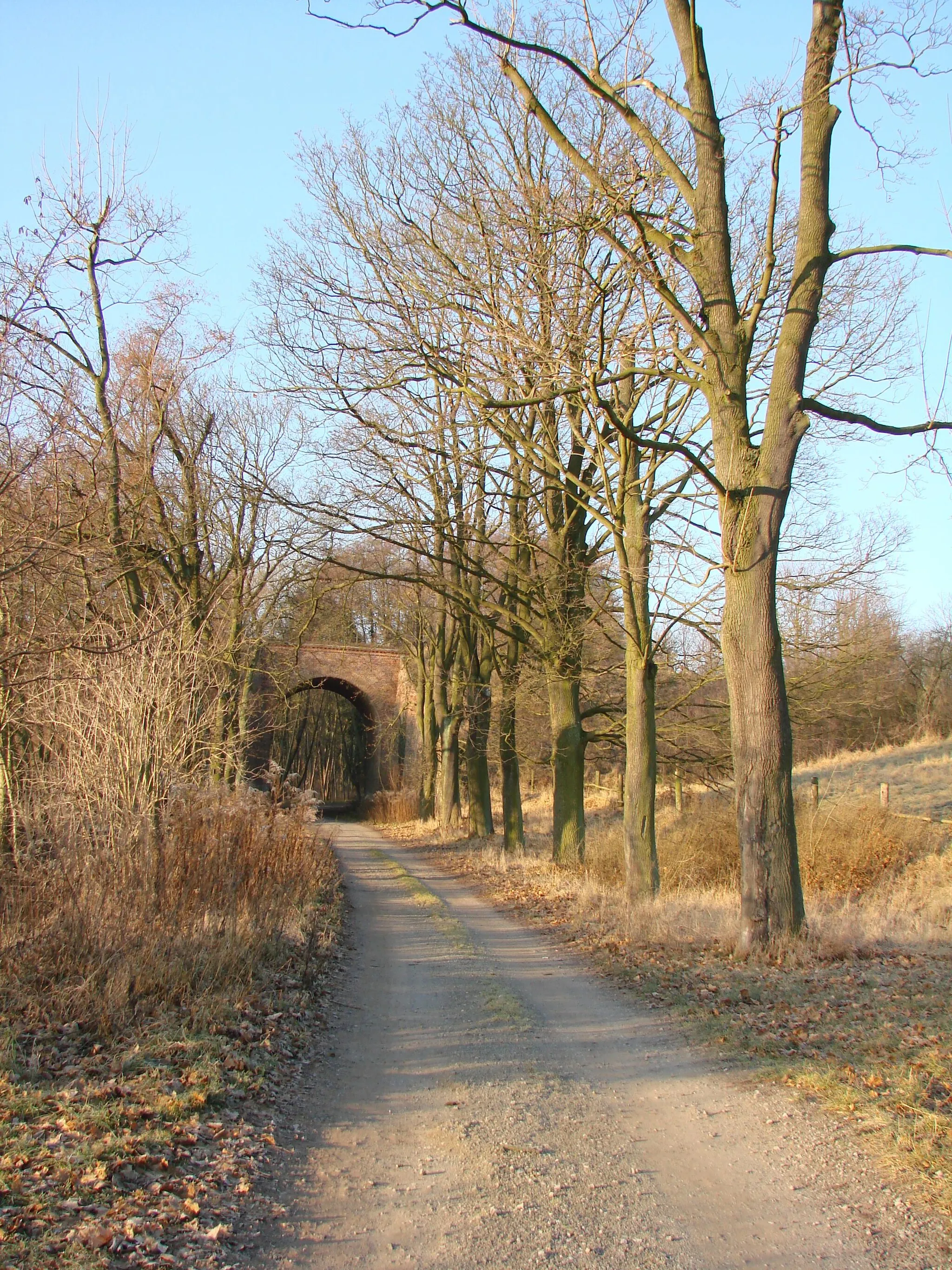 Photo showing: Frankfurt(Oder) OT Kliestow Eisenbahnviadukt