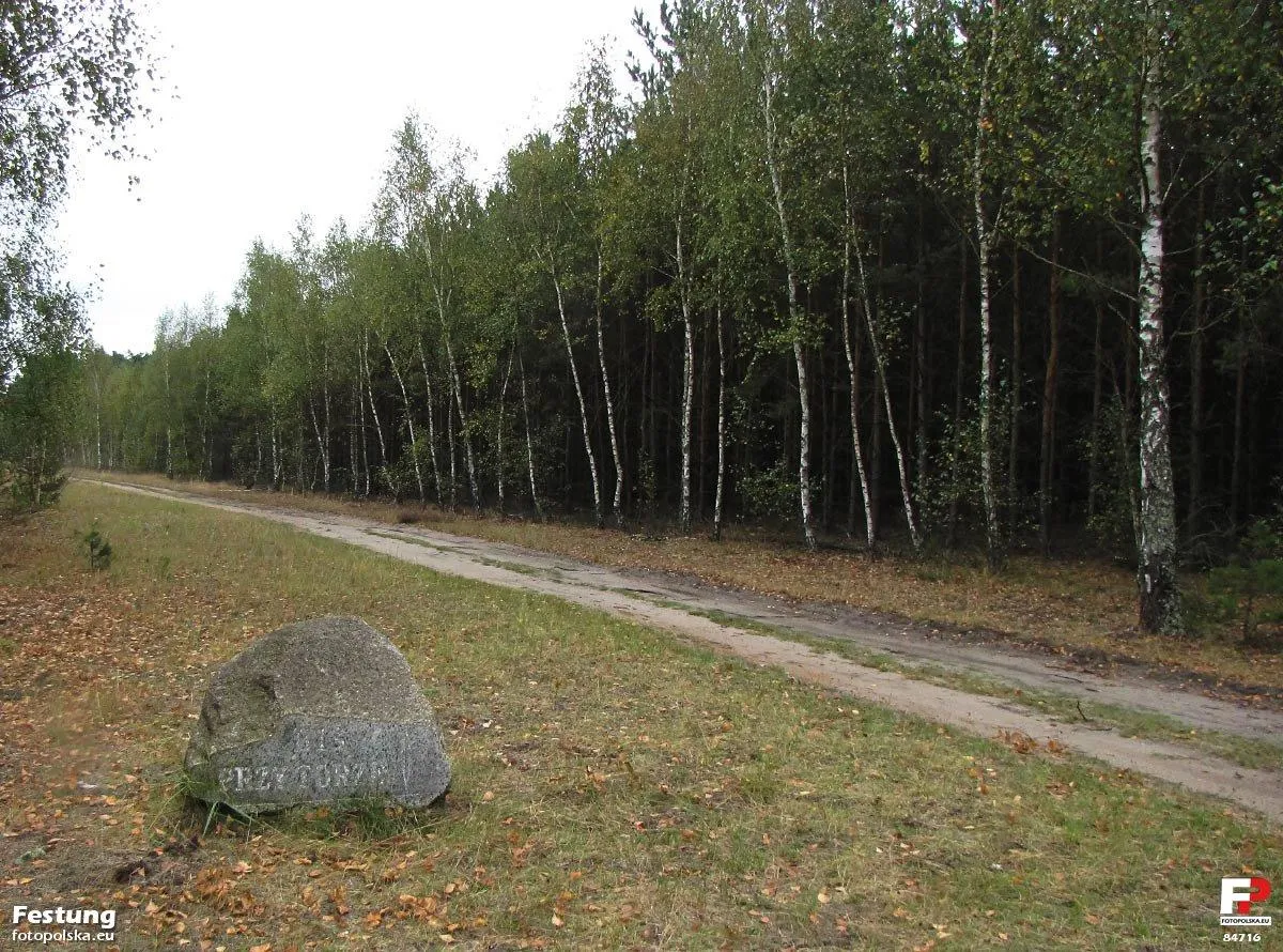 Photo showing: Trudno uwierzyć, ale tu było kiedyś miasto. Myliłby się ten, który sądziłby, że pod nogami ma leśny piaseczek. Tutaj chrzęści regularny gruz, a w nim potłuczona porcelana, jakieś zardzewiałe przedmioty codziennego użytku, fragmenty elewacji itp. Do dziś używam ładnego kryształowego spodeczka, wystającego , o tak sobie, z ziemi. Głaz z napisem „bis przyborze” jest jakimś drogowskazem?