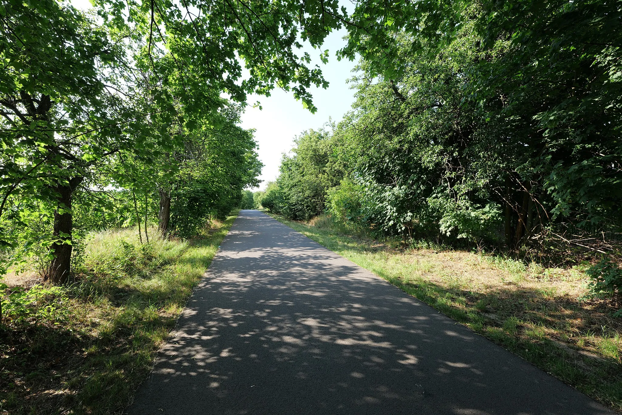 Photo showing: Ortsteil Wüste Kunersdorf von Lebus.