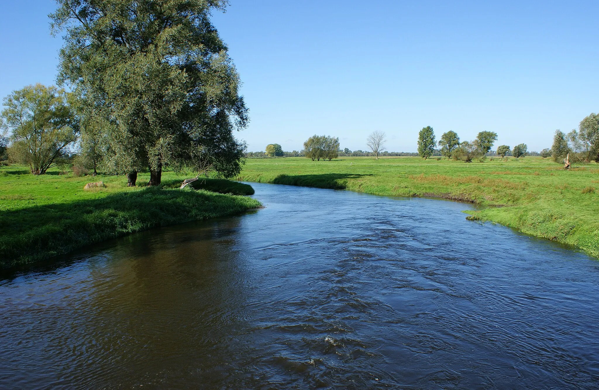 Photo showing: Myśla river near Chlewice (NW Poland)
