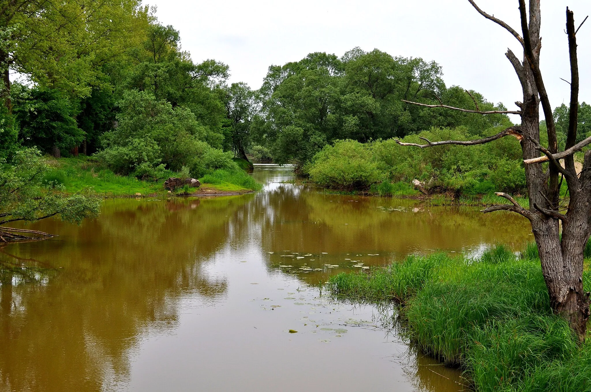 Photo showing: This is a a picture of a Natura 2000 protected area with ID