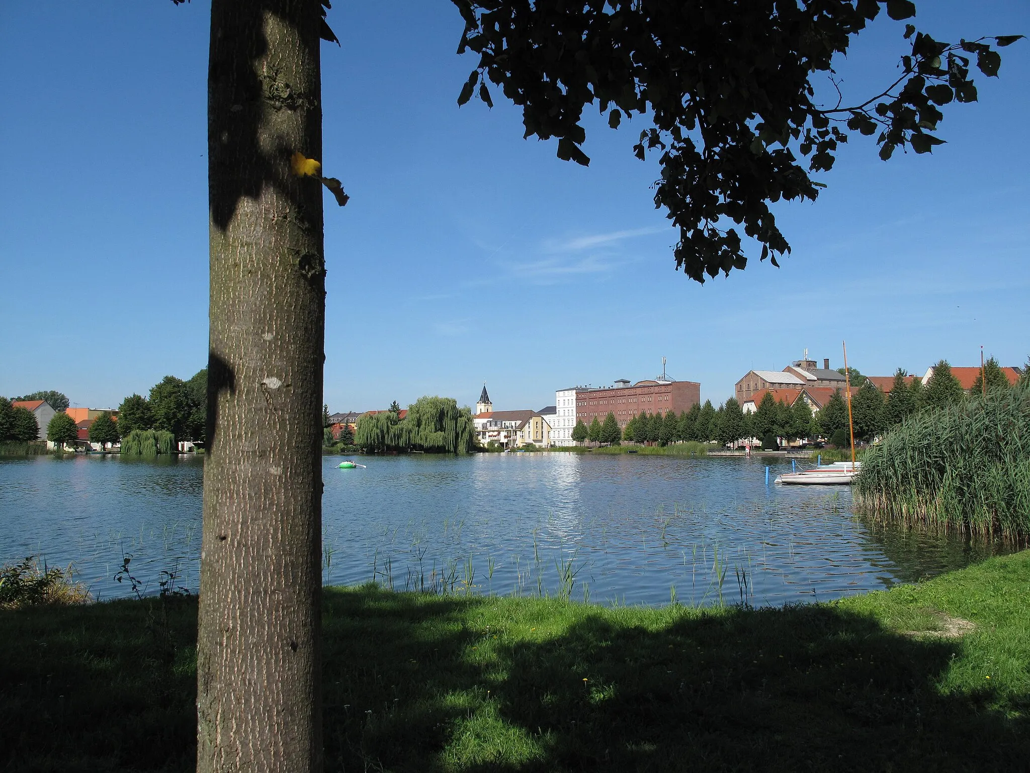 Photo showing: View from the eastern bank of the Großer Müllroser See to Müllrose. The lake is situated between the town Müllrose in the north and the municipality Mixdorf in the south in the District Oder-Spree, Brandenburg, Germany. The lake covers 1,32 km² and is a part of the Schlaube Valley Nature Park.