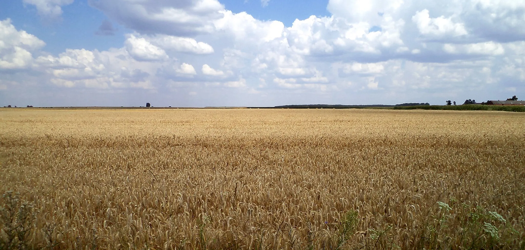 Photo showing: Gola – wieś w Polsce położona w województwie lubuskim, w powiecie wschowskim, w gminie Szlichtyngowa.