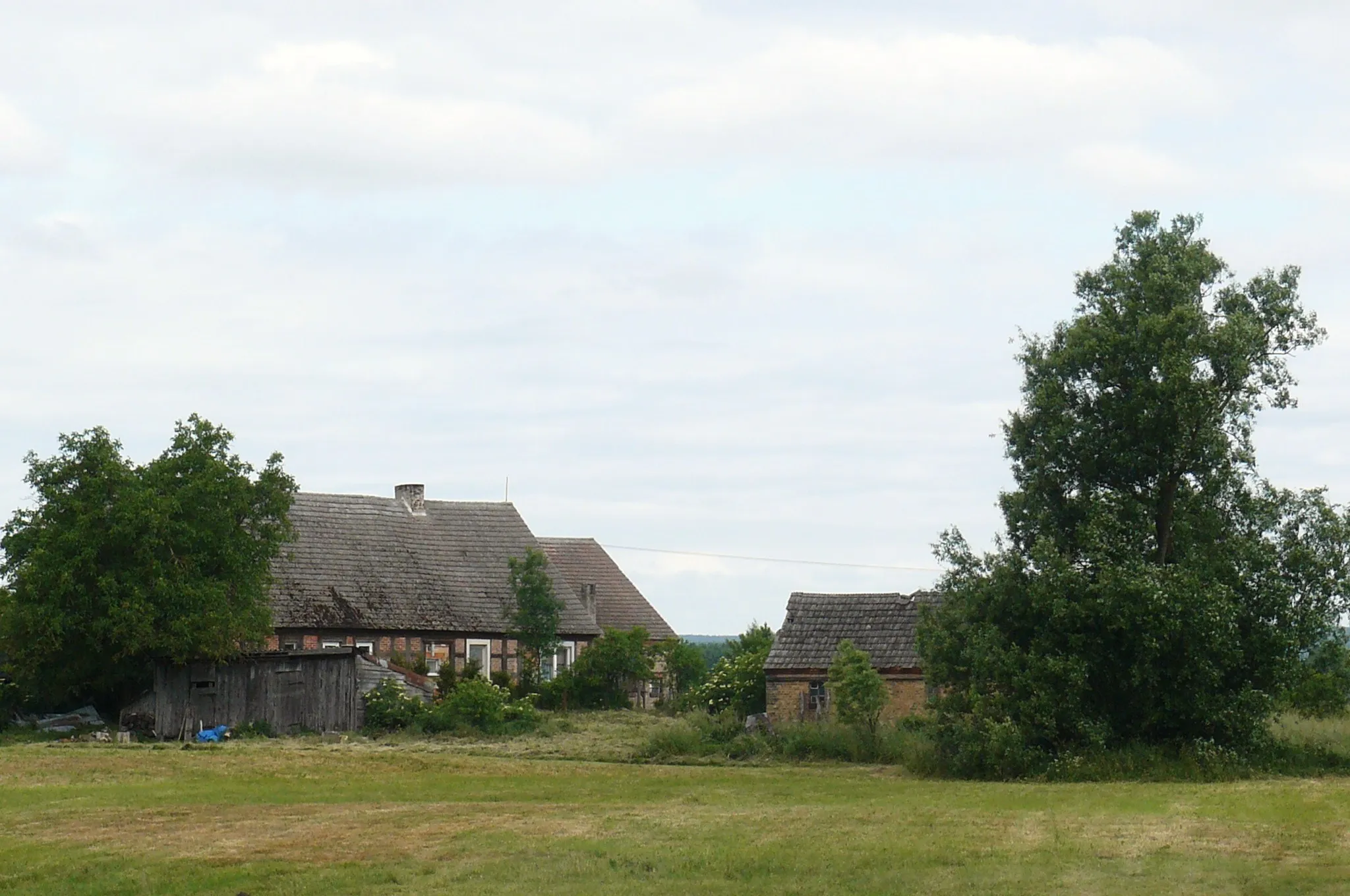 Photo showing: Krajobraz wsi Przynotecko w gm. St. Kurowo.