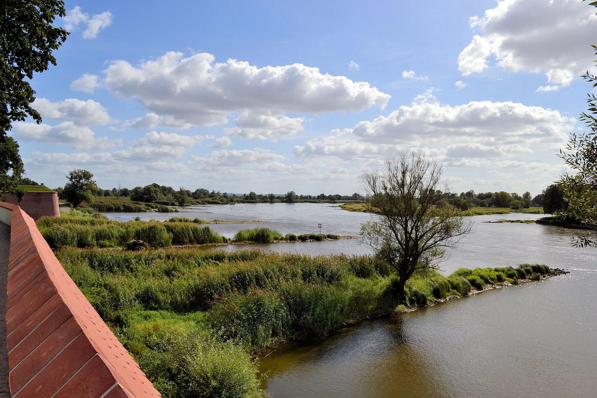 Photo showing: Rzeka Odra w Kostrzynie nad Odrą (widok z wałów Twierdzy Kostrzyn)