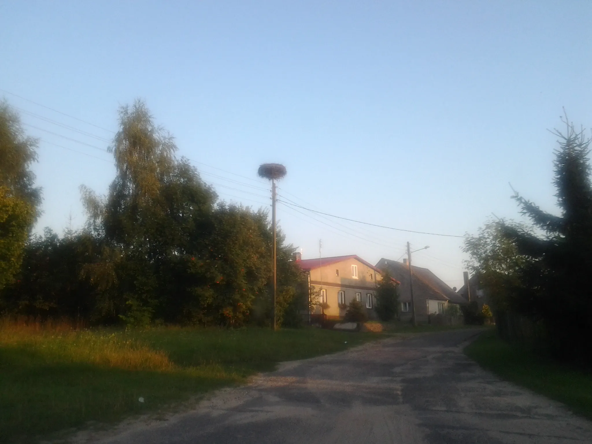 Photo showing: Bocianie gniazdo w Klasztornem