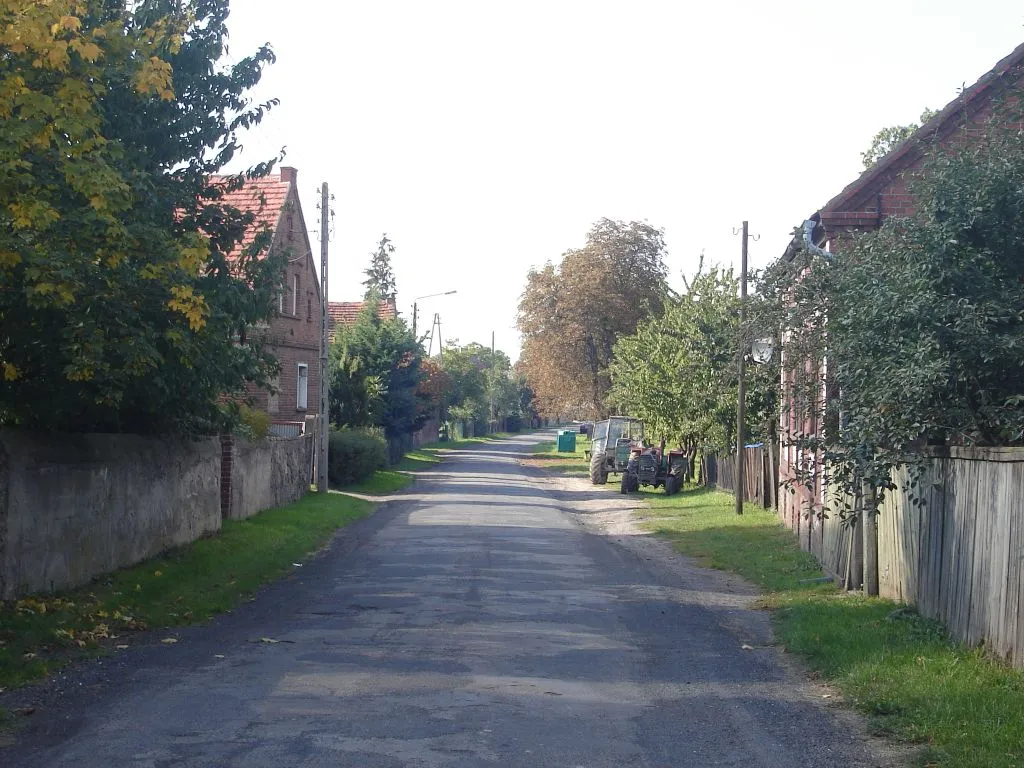 Photo showing: Główna droga w Wolimirzycach
