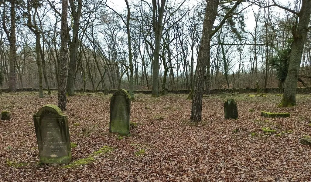 Photo showing: Cmentarz żydowski w Trzemesznie Lubuskim ruiny 2020