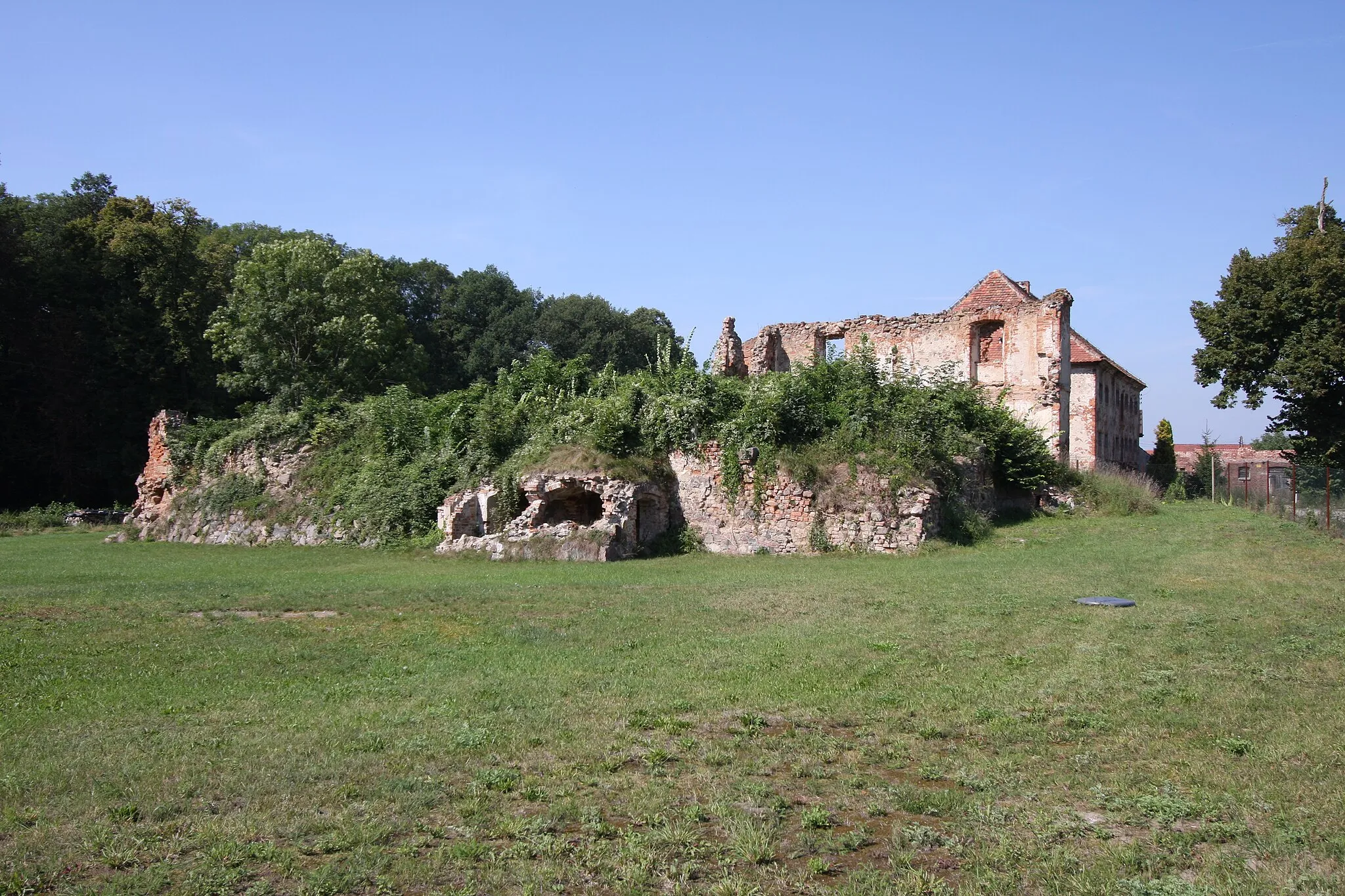 Photo showing: Szczaniec, ruiny pałacu, mur., XVI, XVIII (zabytek nr rejestr. 255)