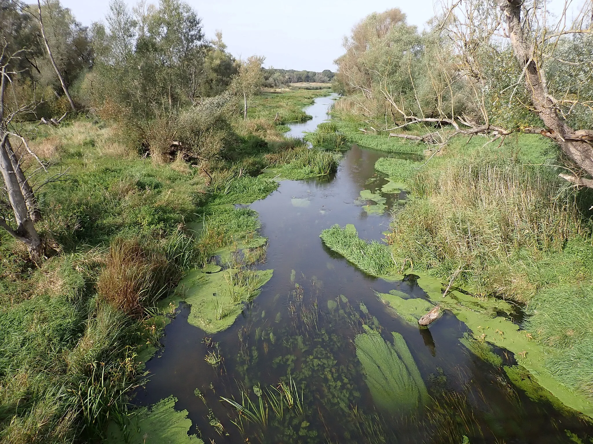 Photo showing: Ilanka rover in Świecko, W Poland