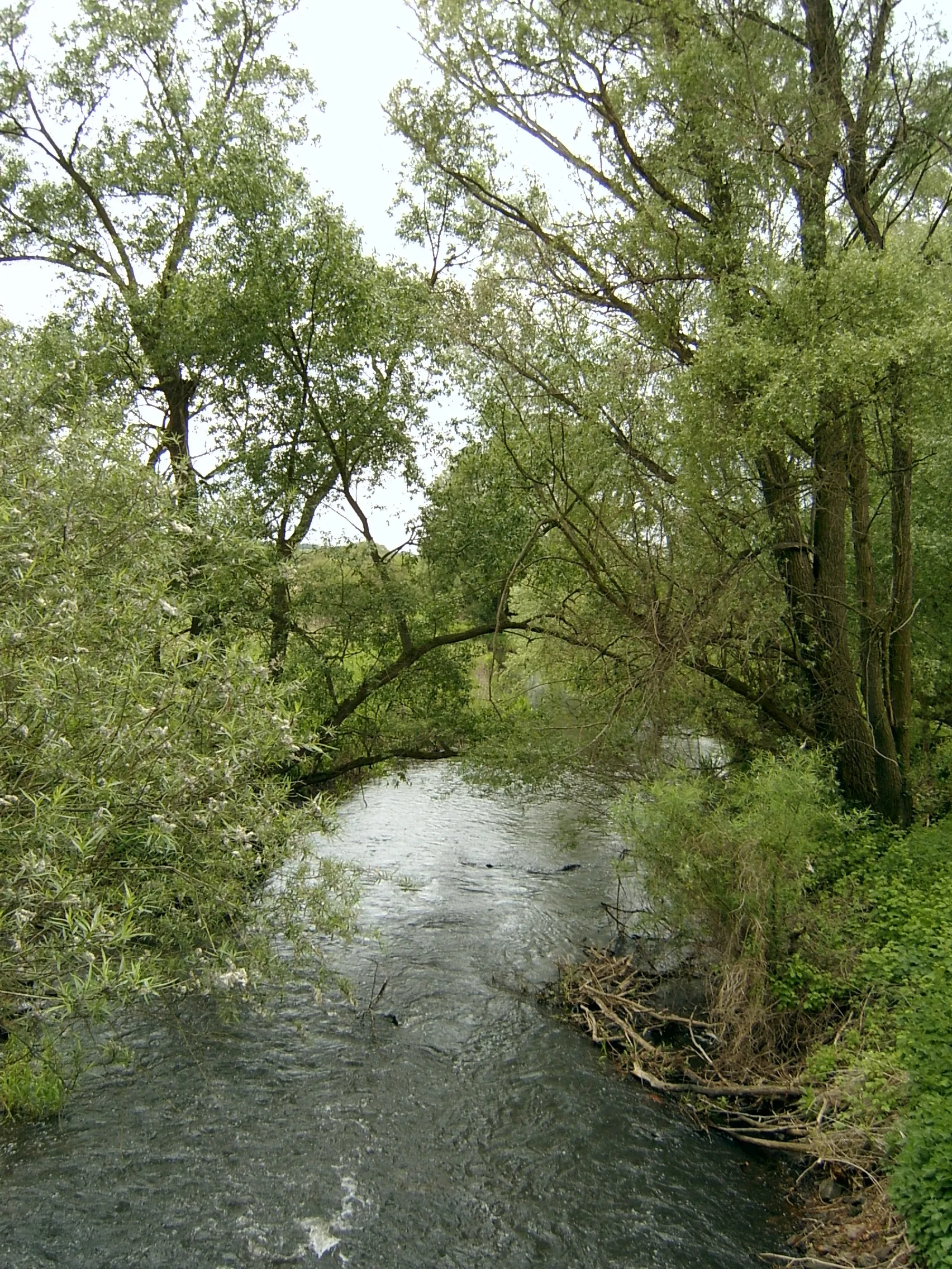 Photo showing: Die Eilang (Ilanka) bei Rybocice, Polen.