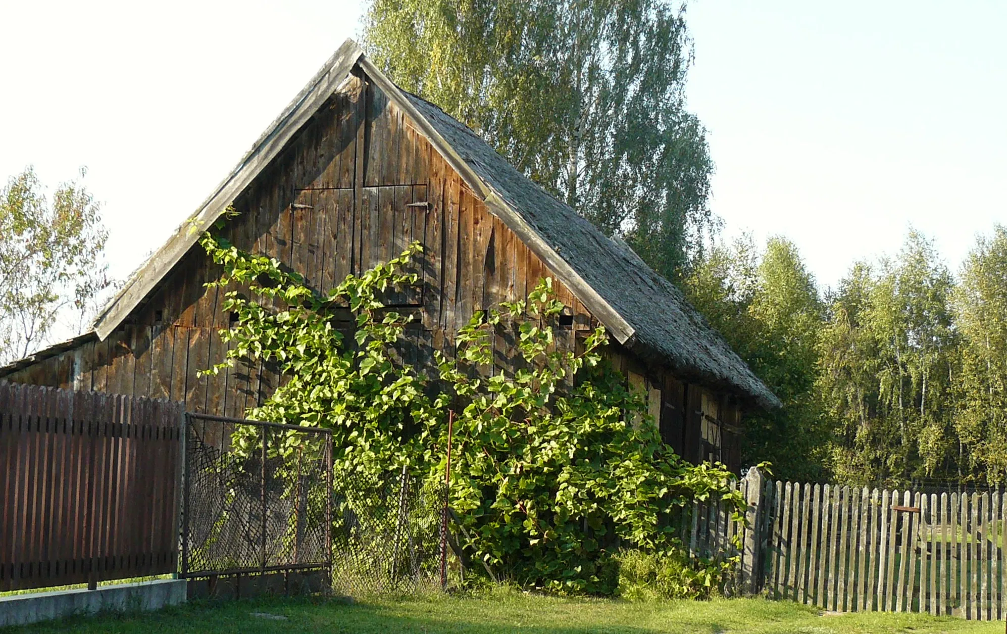 Photo showing: Wieś olęderska Przyłęk koło Nw. Tomyśla.