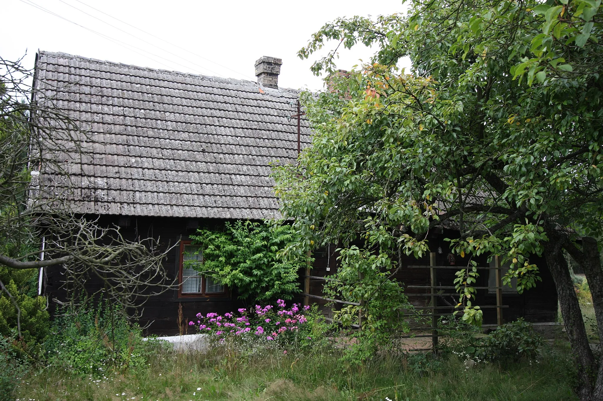 Photo showing: Mariankowo, dom (chata) nr 1, drewn., 2 poł. XIX