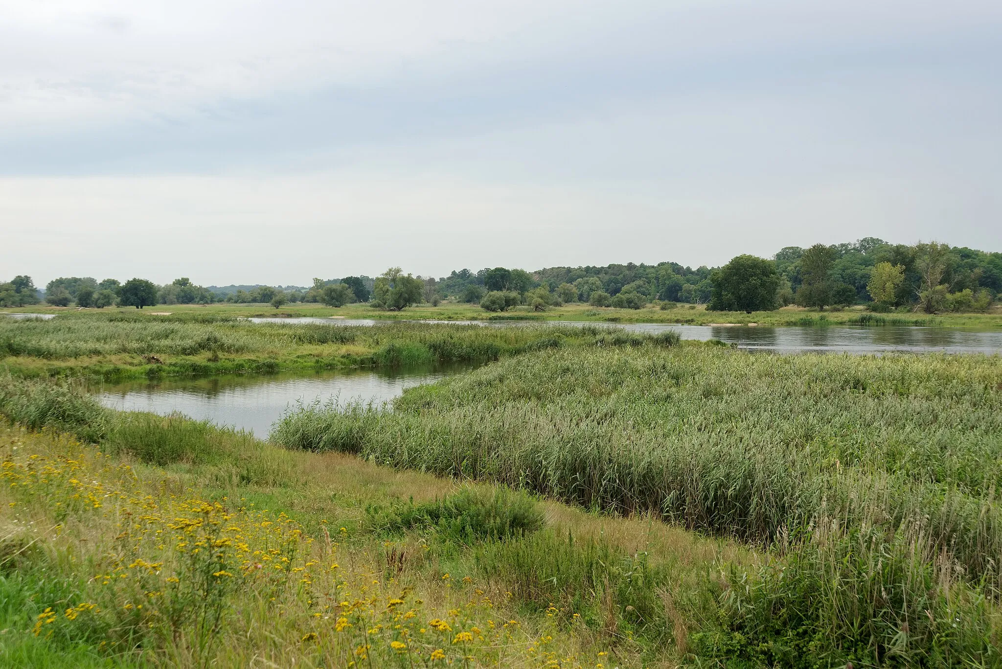 Photo showing: View of of the Oder River near Lebus