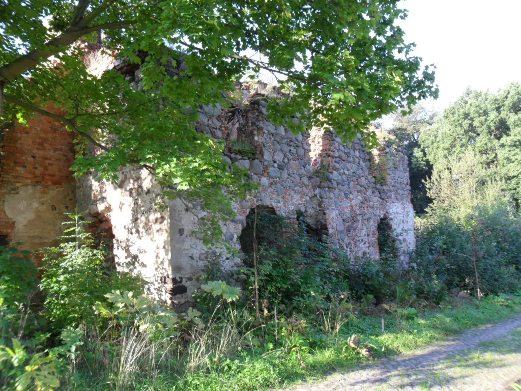 Photo showing: Ruiny dworu w Zimnej Brzeźnicy