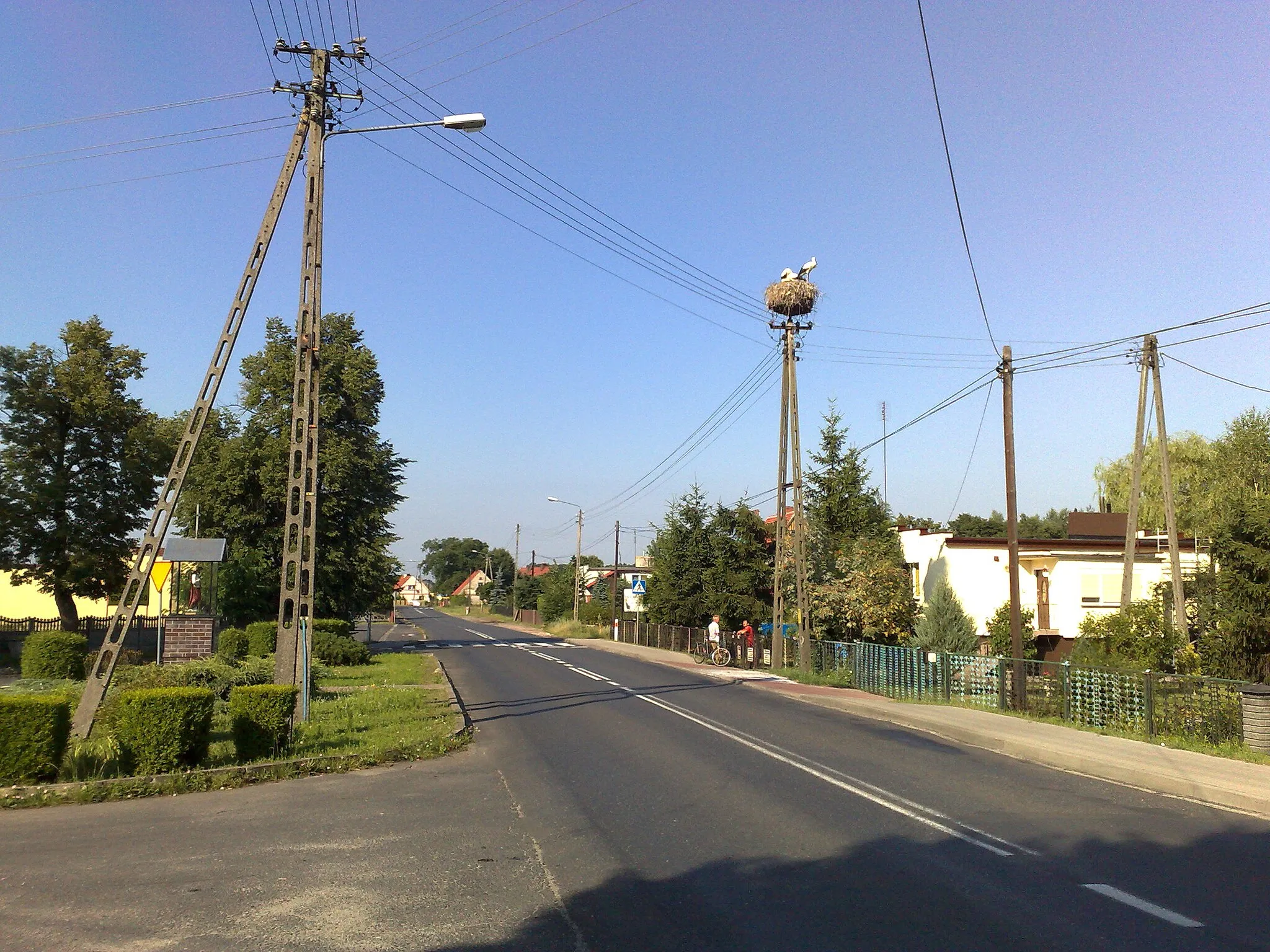 Photo showing: Bocianie gniazdo. Zdjęcie wykonano w Przyborowie w w. lubuskim w powiecie nowosolskim