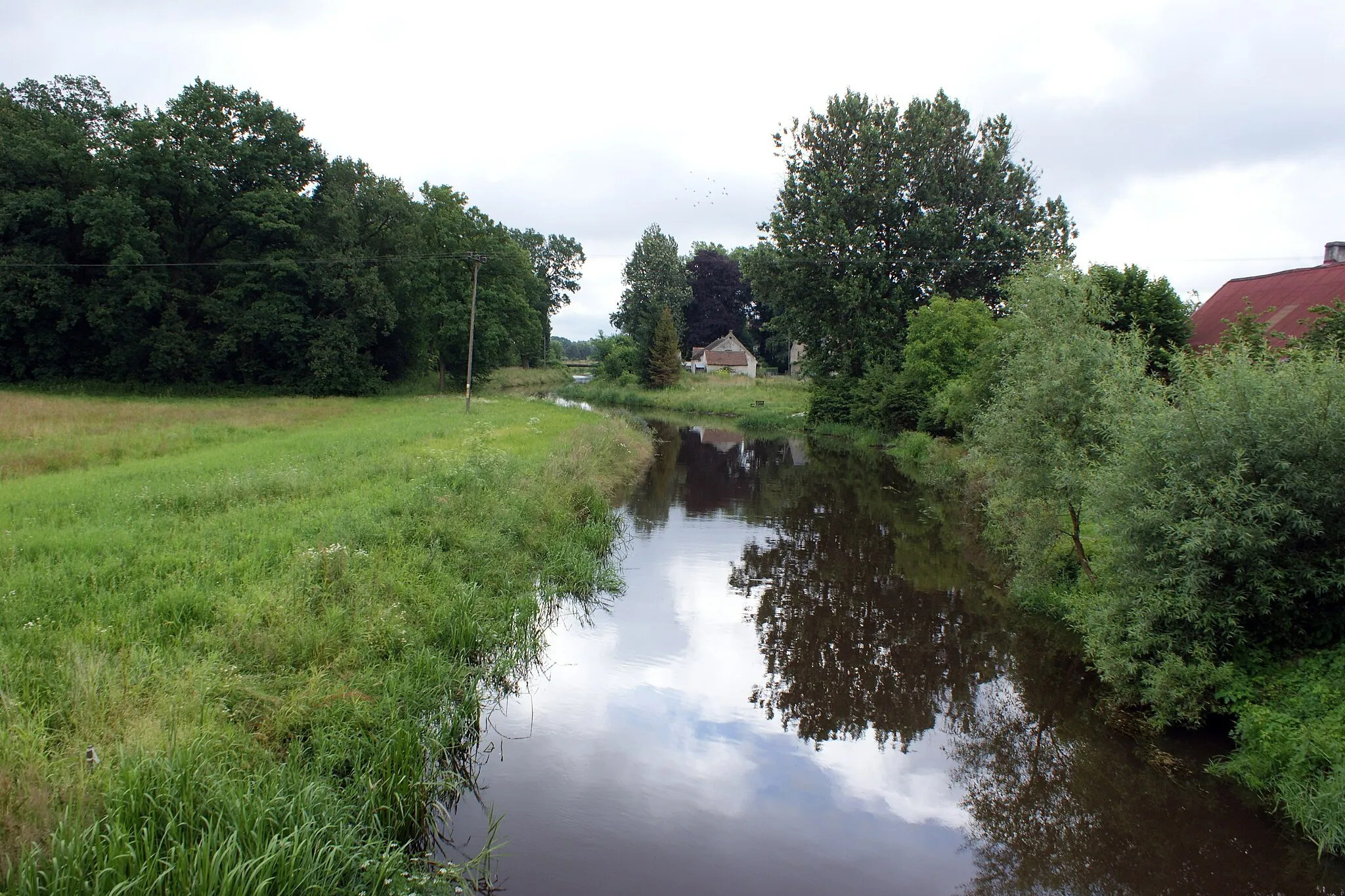 Photo showing: Szprotawa River in Cieciszów