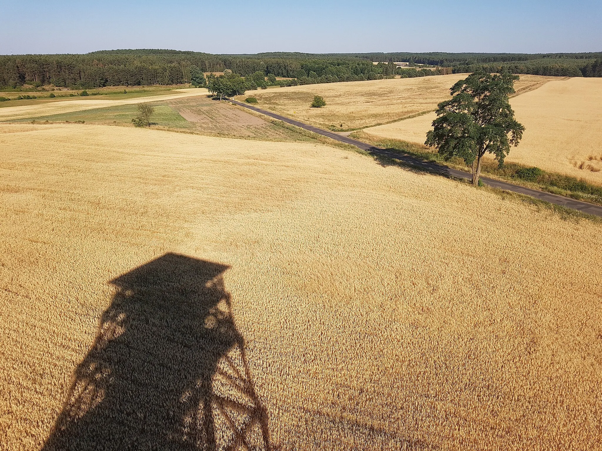 Photo showing: Widok z wieży widokowej w Świechocinie