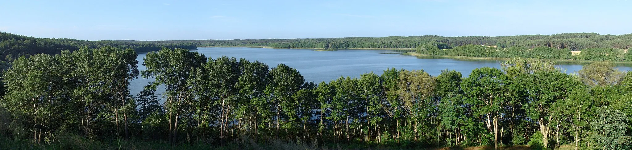 Photo showing: Chłop Lake in Pszczew Landscape Park, Poland.