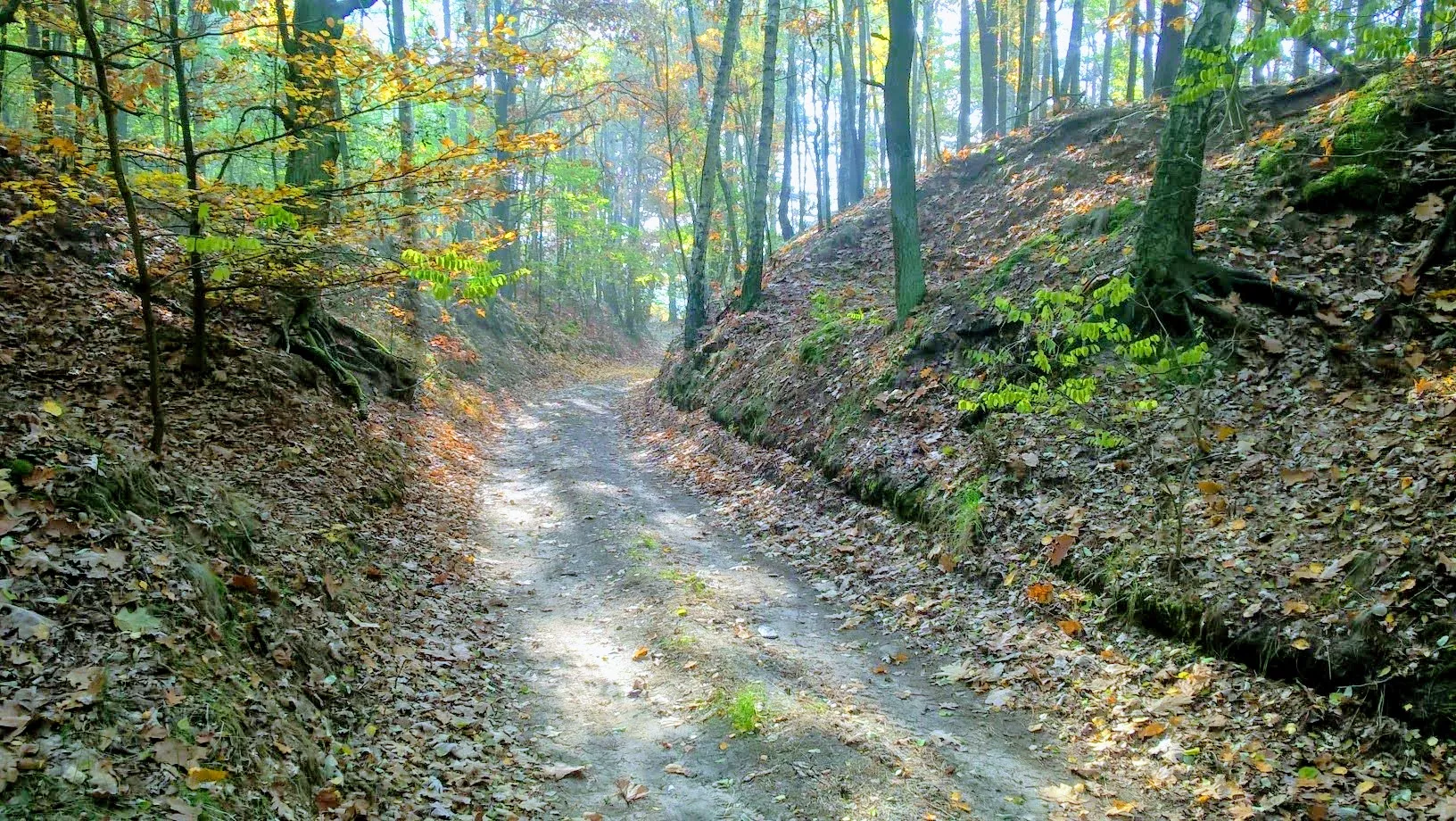 Photo showing: Wiechlicko-Cieciszowskie ravines in the commune of Szprotawa, Poland