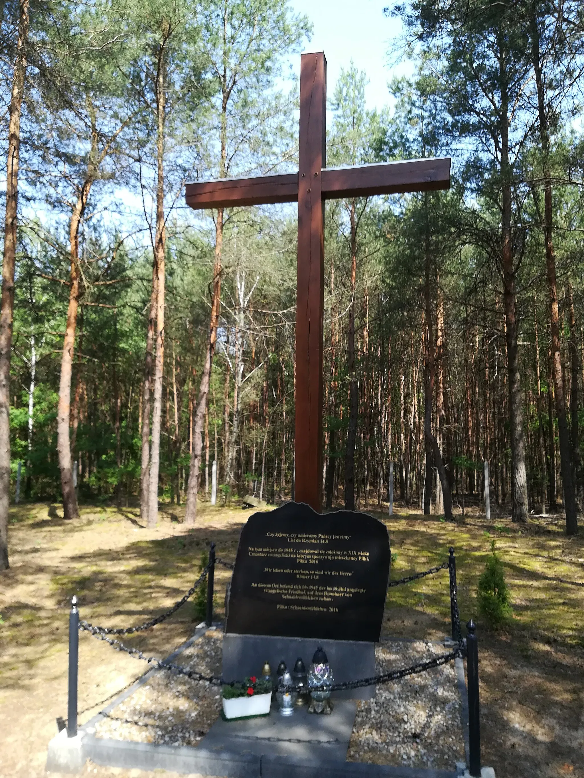 Photo showing: Cmentarz ewangelicki w Piłce.