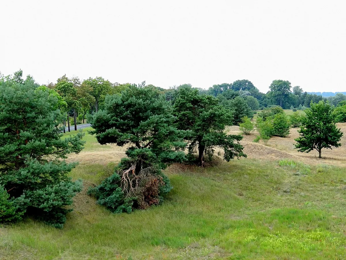 Photo showing: PN Ujście Warty. Czarnów.