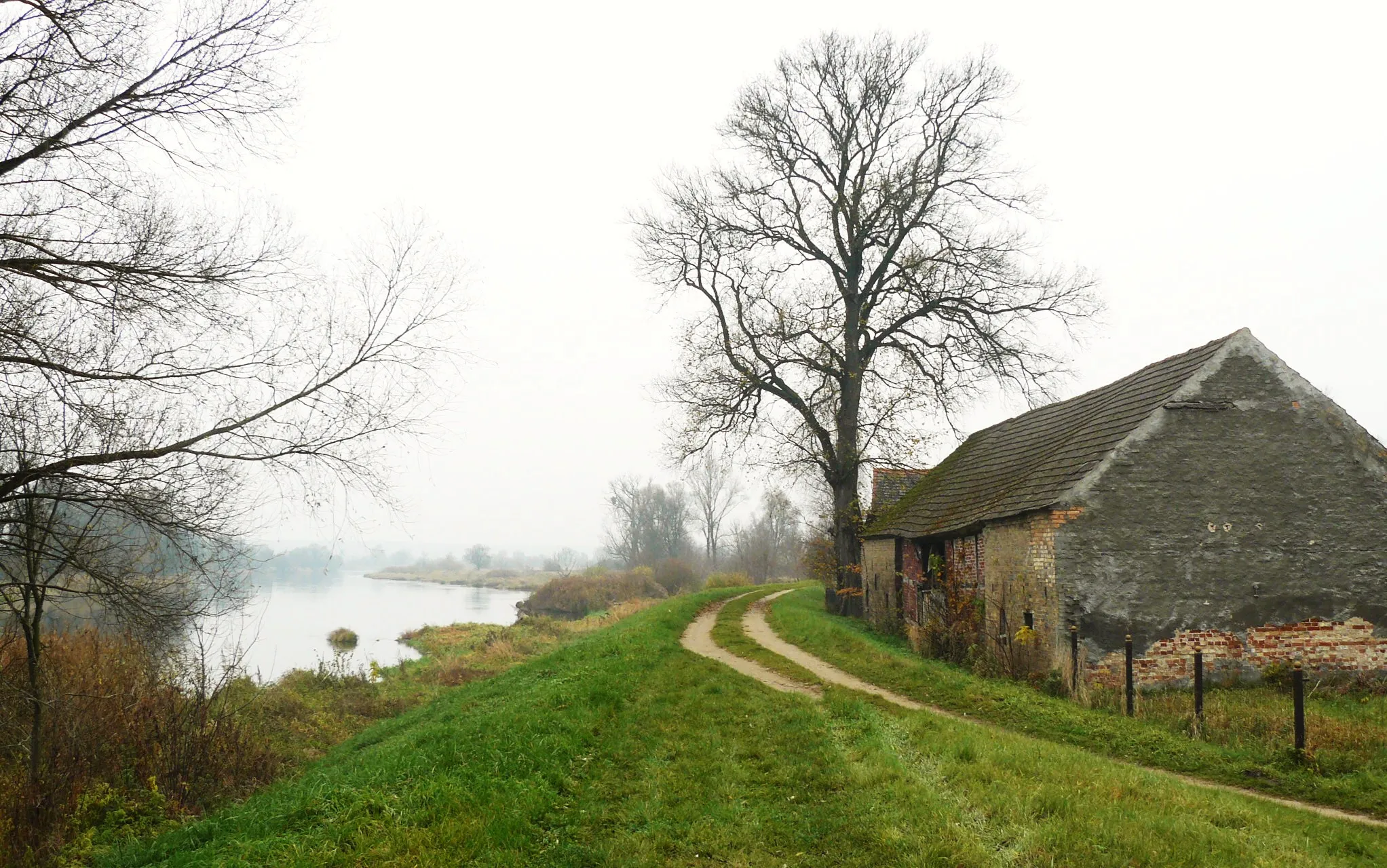 Photo showing: Stare Polichno. Wały nad Wartą.