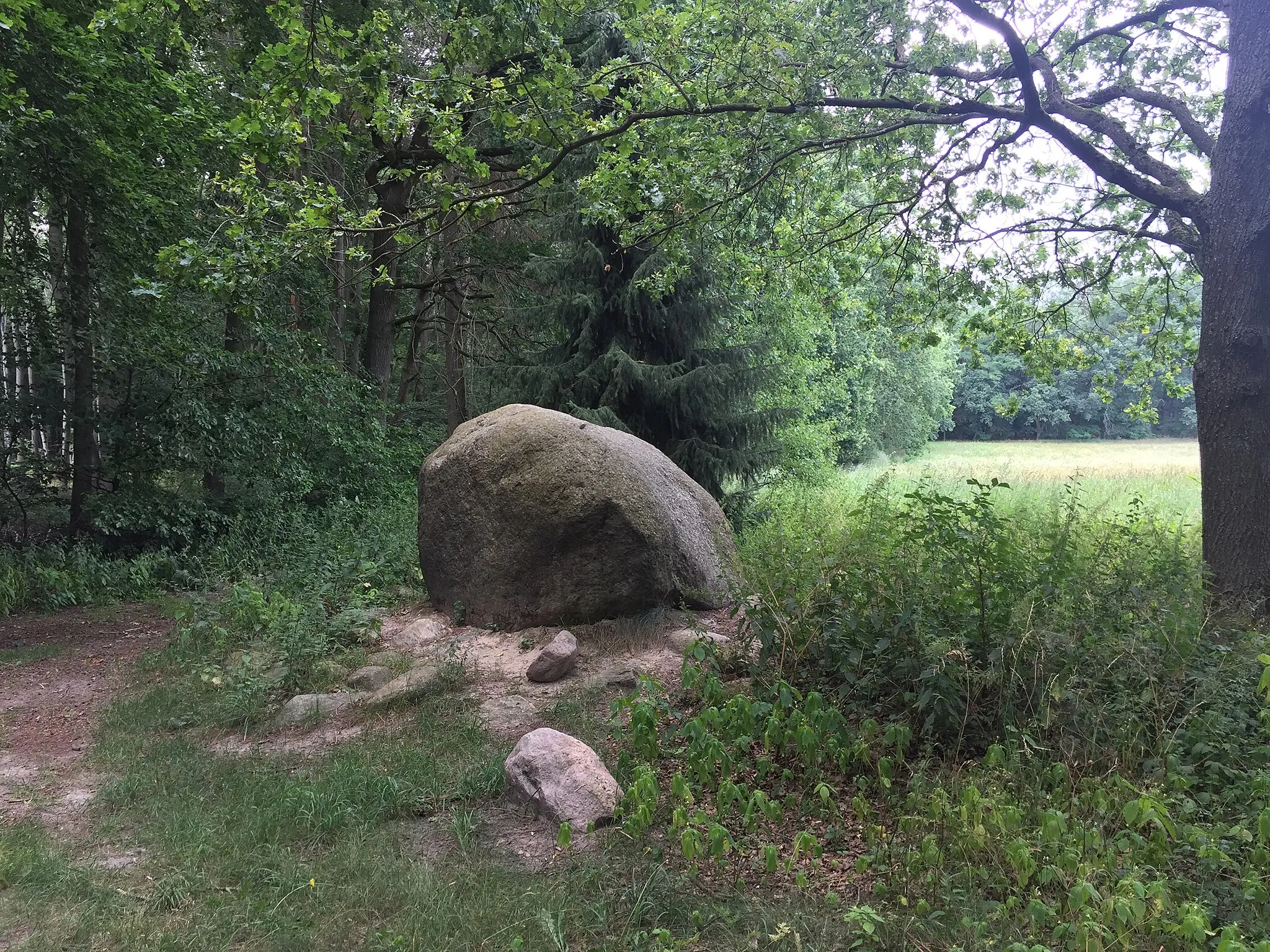 Photo showing: Großer Stein Frankfurt (Oder)-Rosengarten, 2020