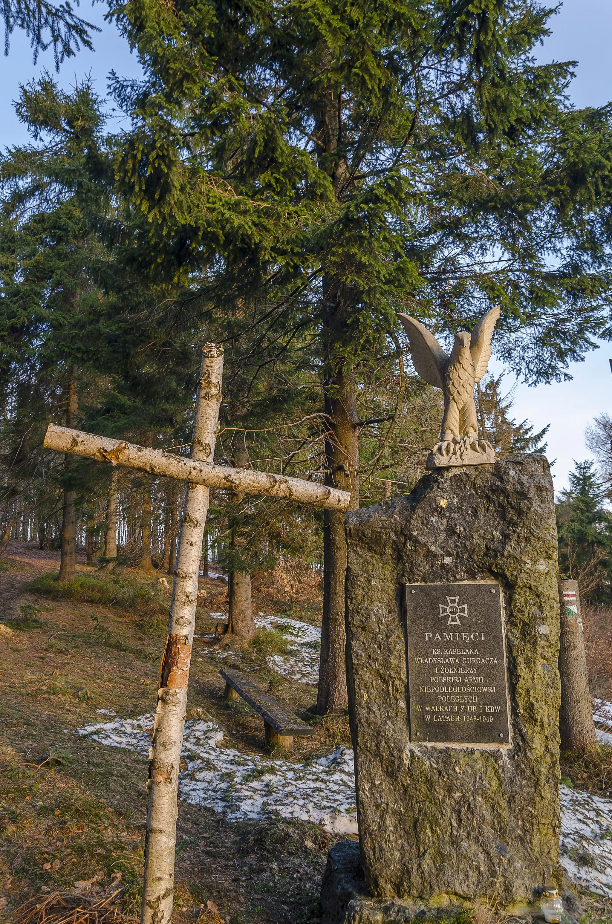 Photo showing: Gmina Łabowa, Poland