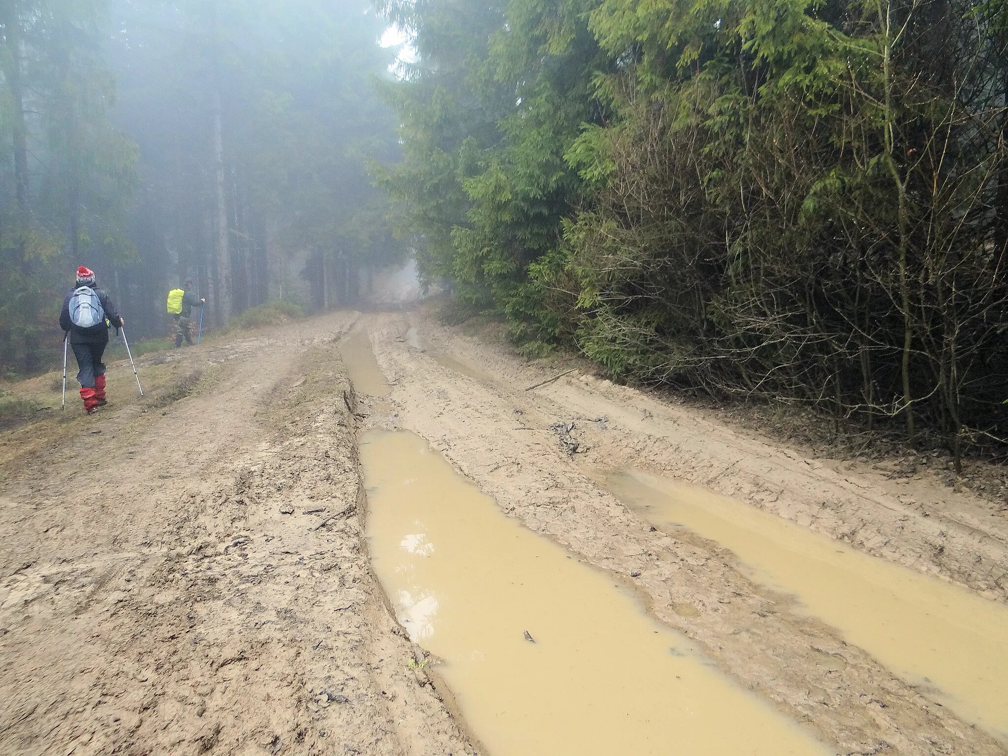 Photo showing: This is a photography of protected area with CRFOP ID