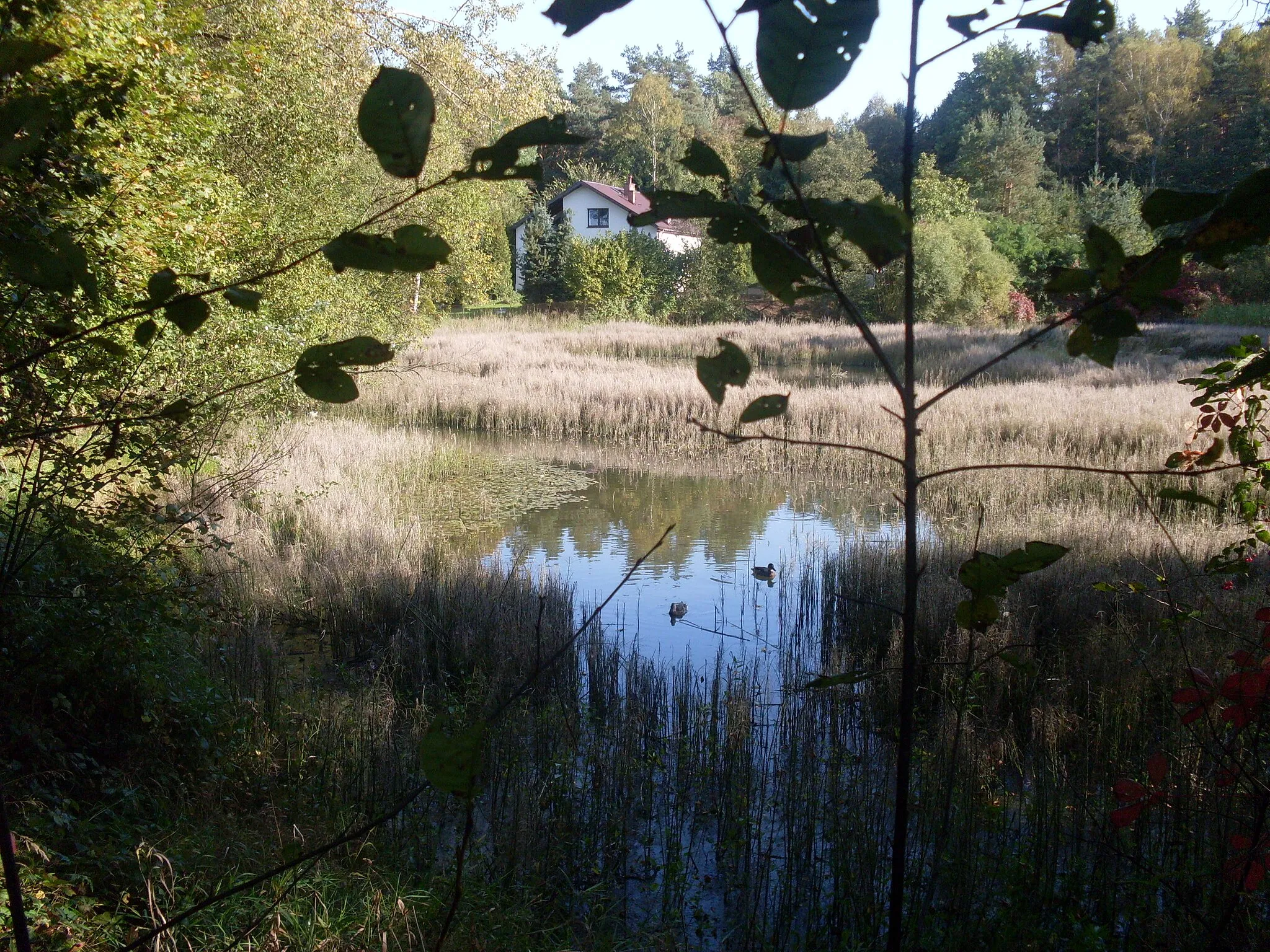 Photo showing: Leśniczówka i staw Rzeczki, Tenczynek