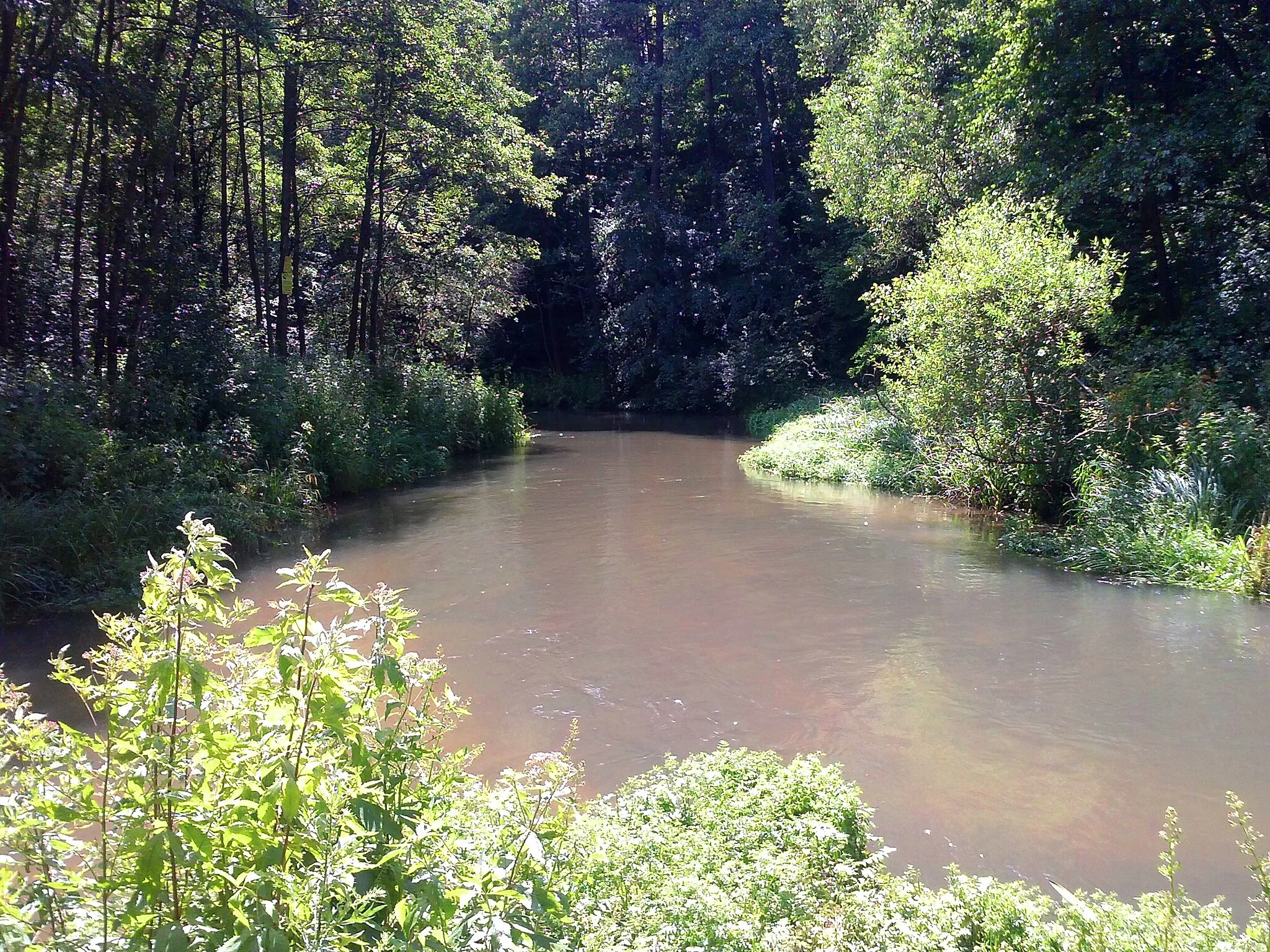 Photo showing: Biała Przemsza in Dąbrowa Górnicza