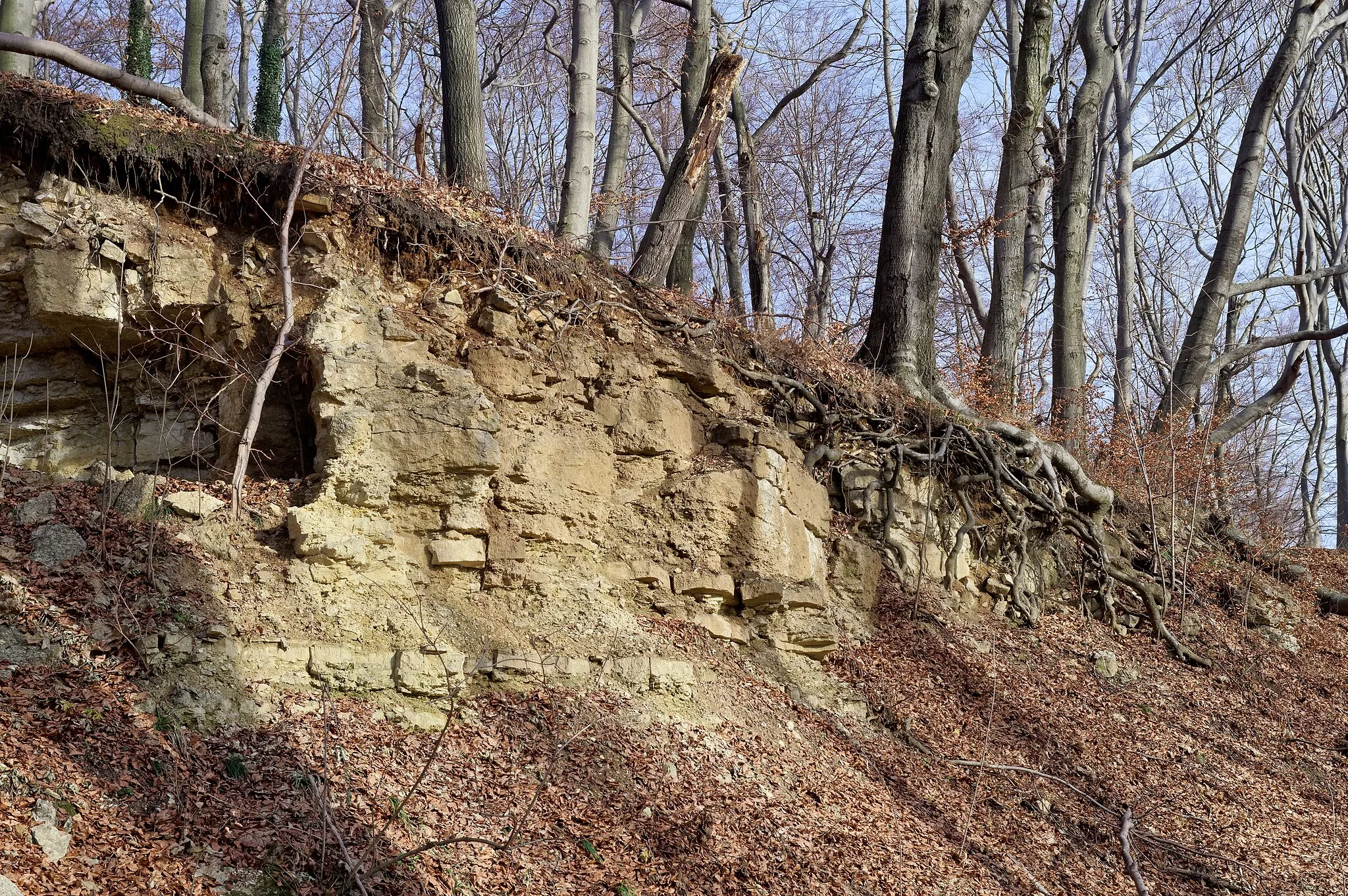 Photo showing: Rocks in Bukowica nature reserve, Lesser Poland Voivodeship