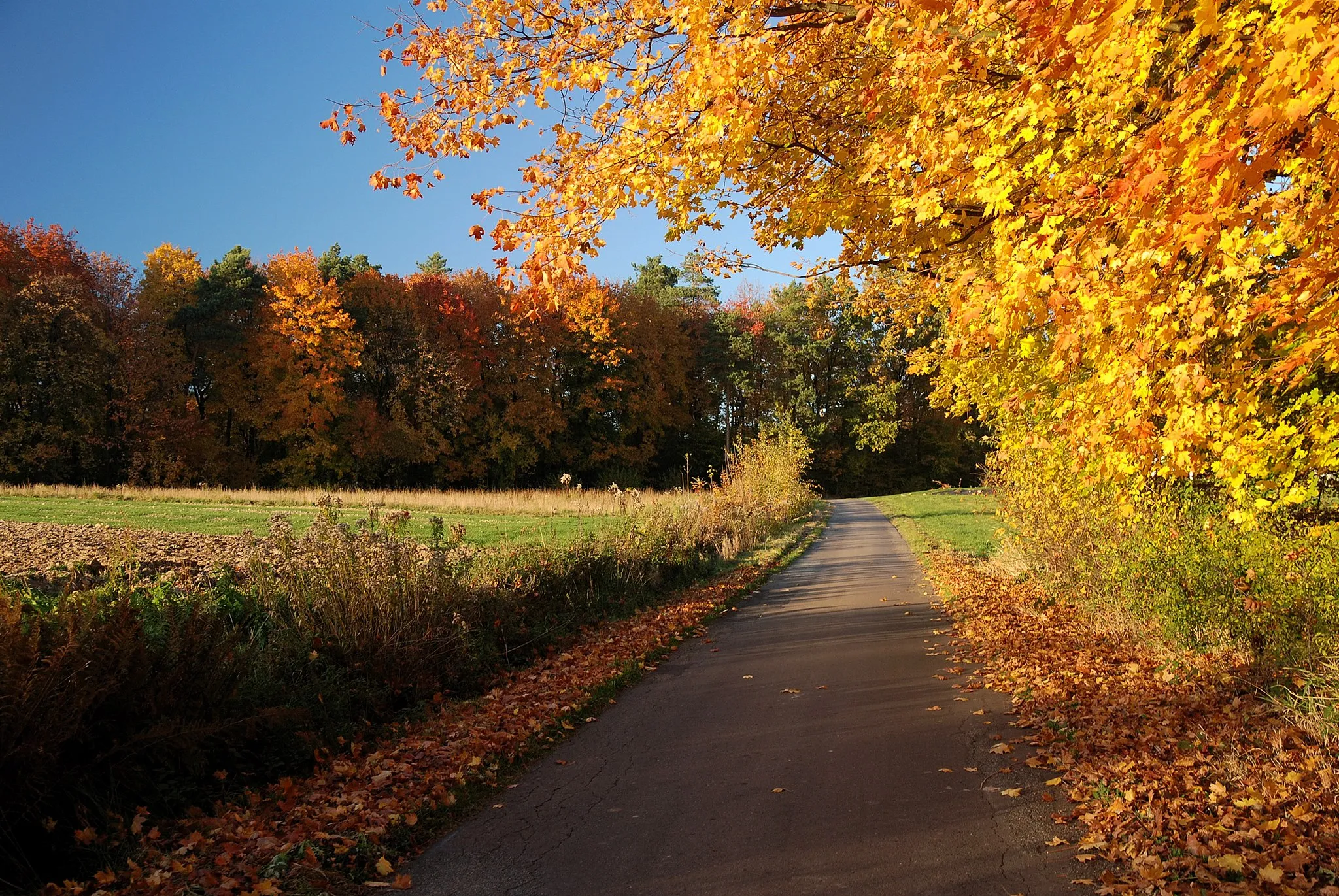 Photo showing: Przysieki