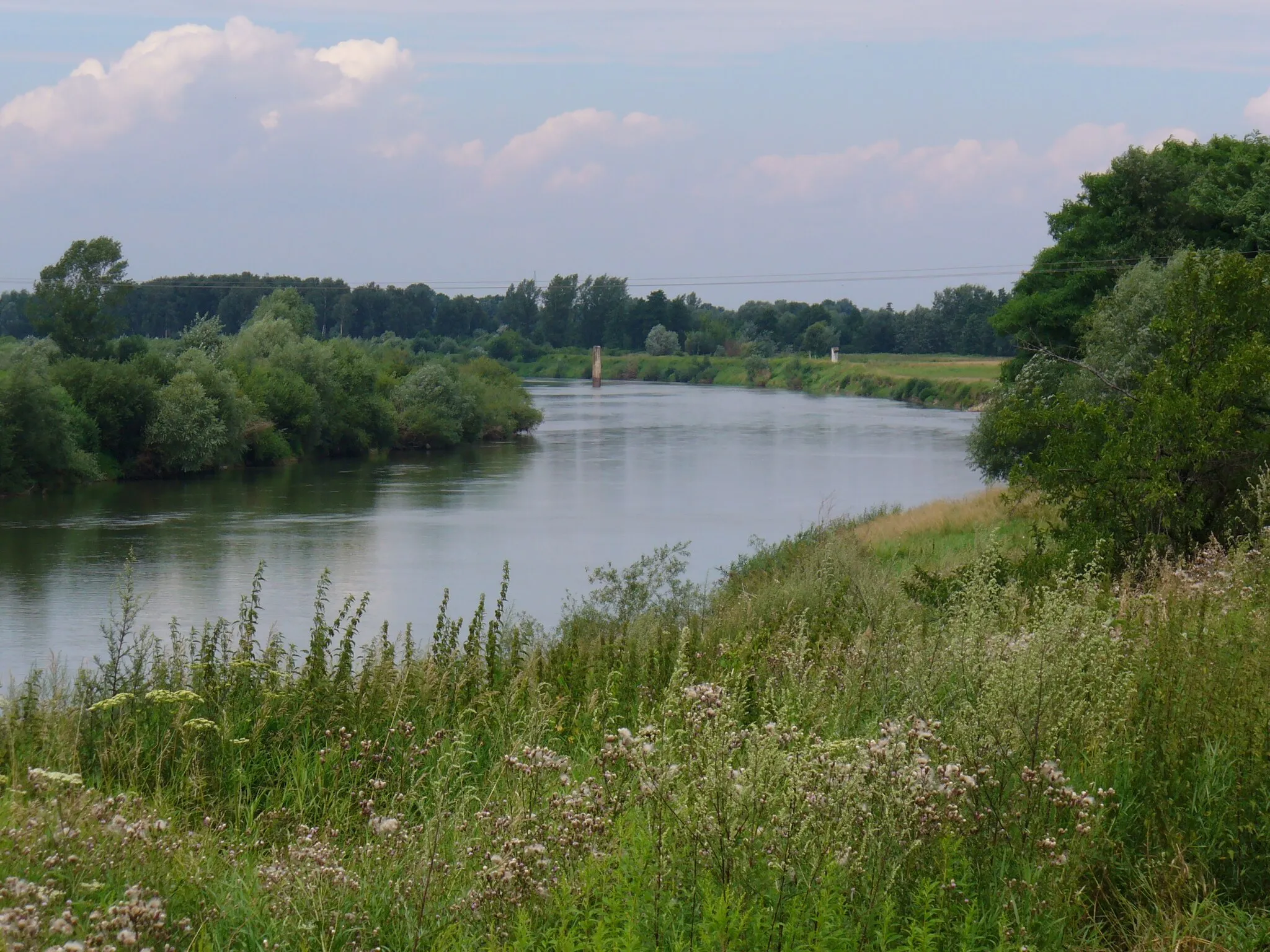 Photo showing: Dunajec river in Biała, małopolskie, Poland