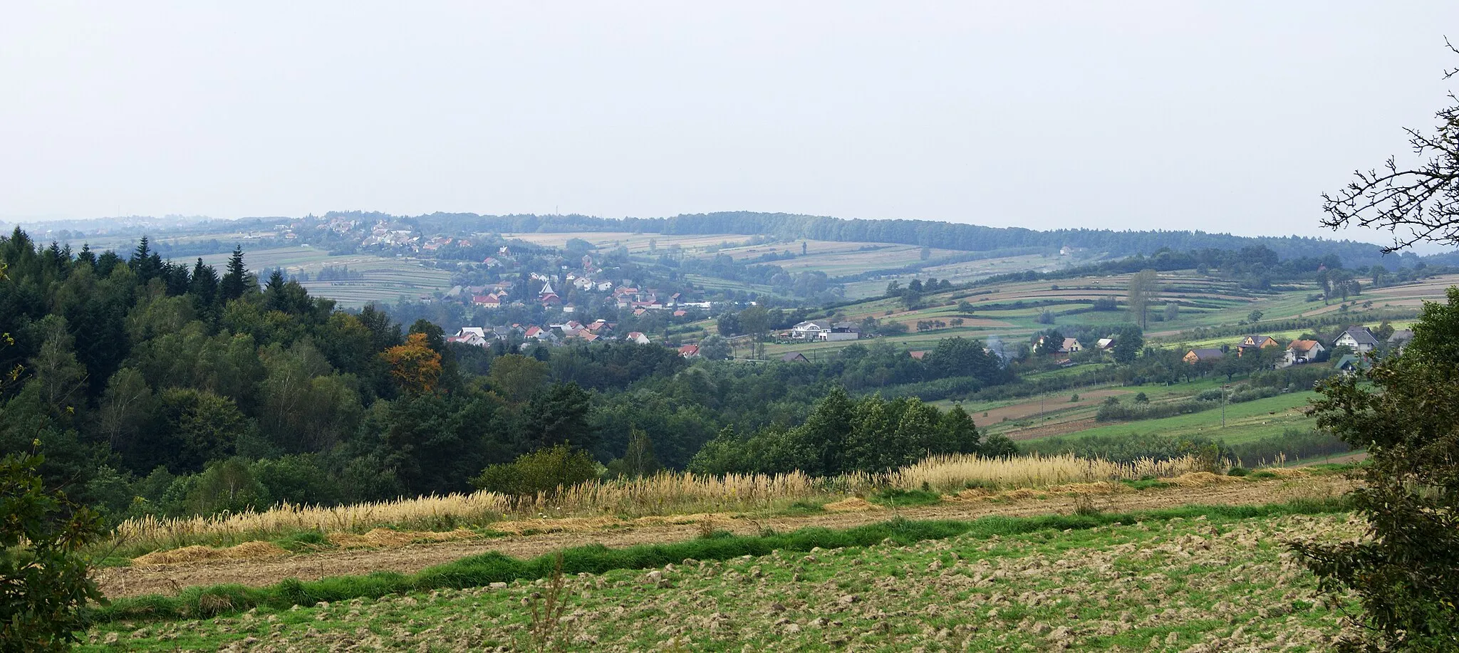 Photo showing: Brzeznica village, Bochnia county, Poland