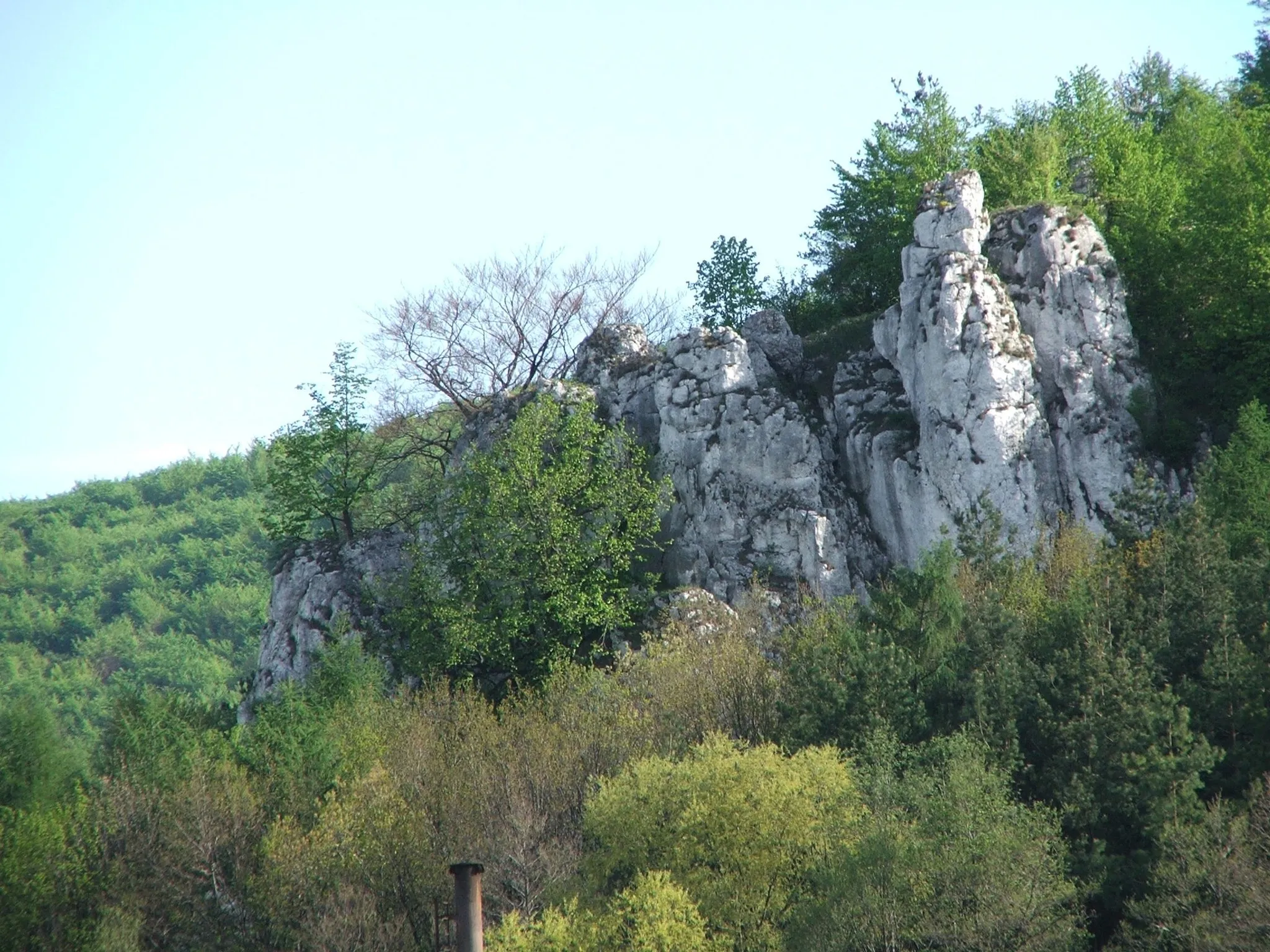 Photo showing: Dolina Racławki (Dolinki Krakowskie)