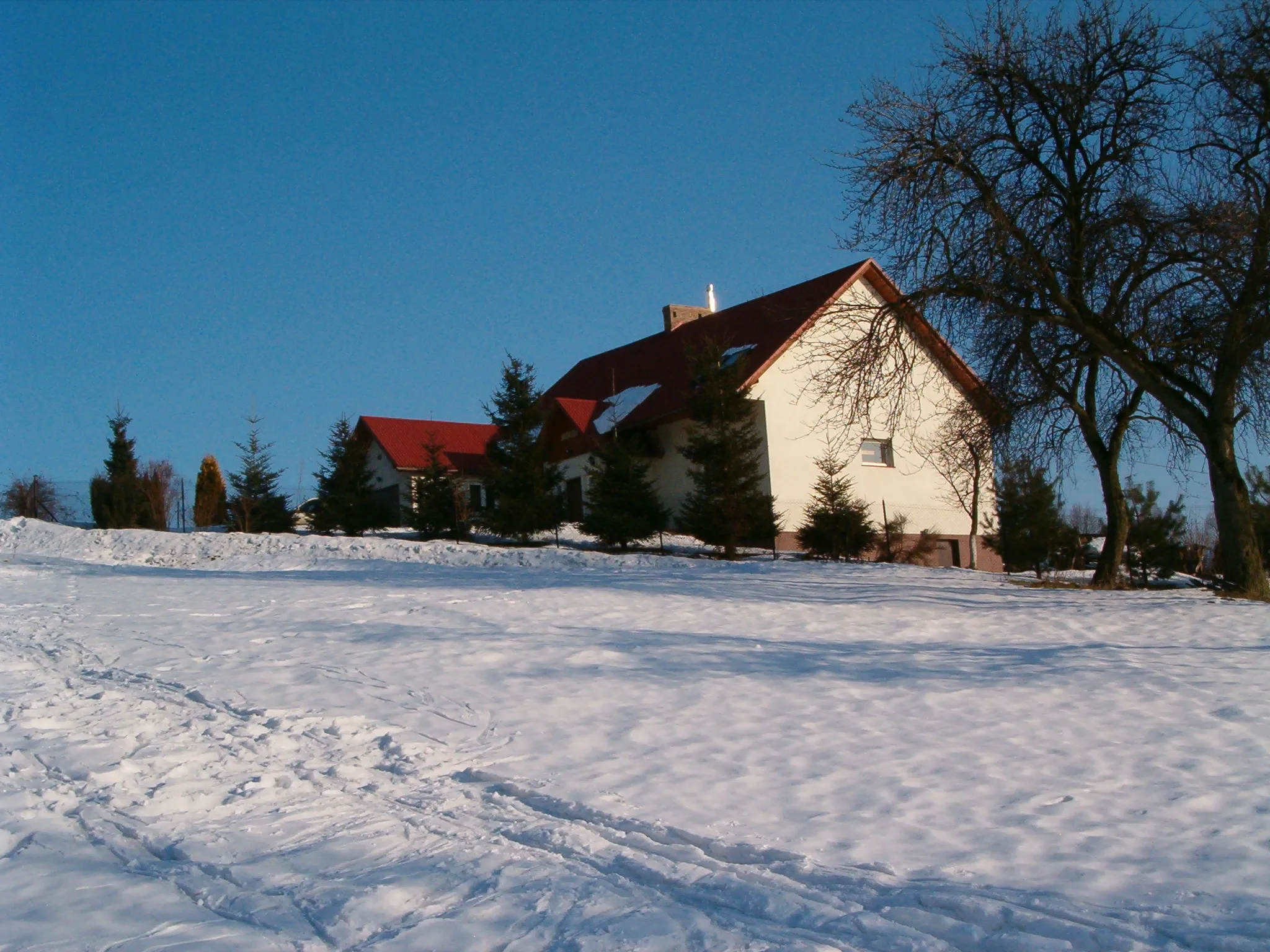 Photo showing: Nieprześnia zimą, foto Artur Handzel