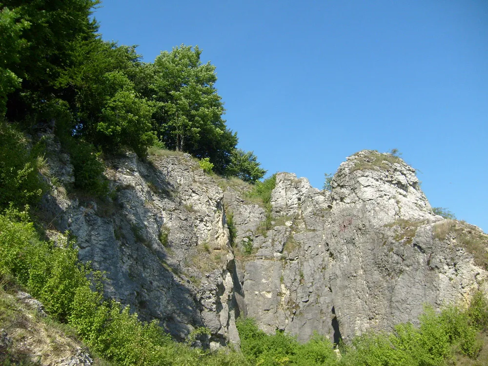 Photo showing: Rusocice Podskale - skały wapienne