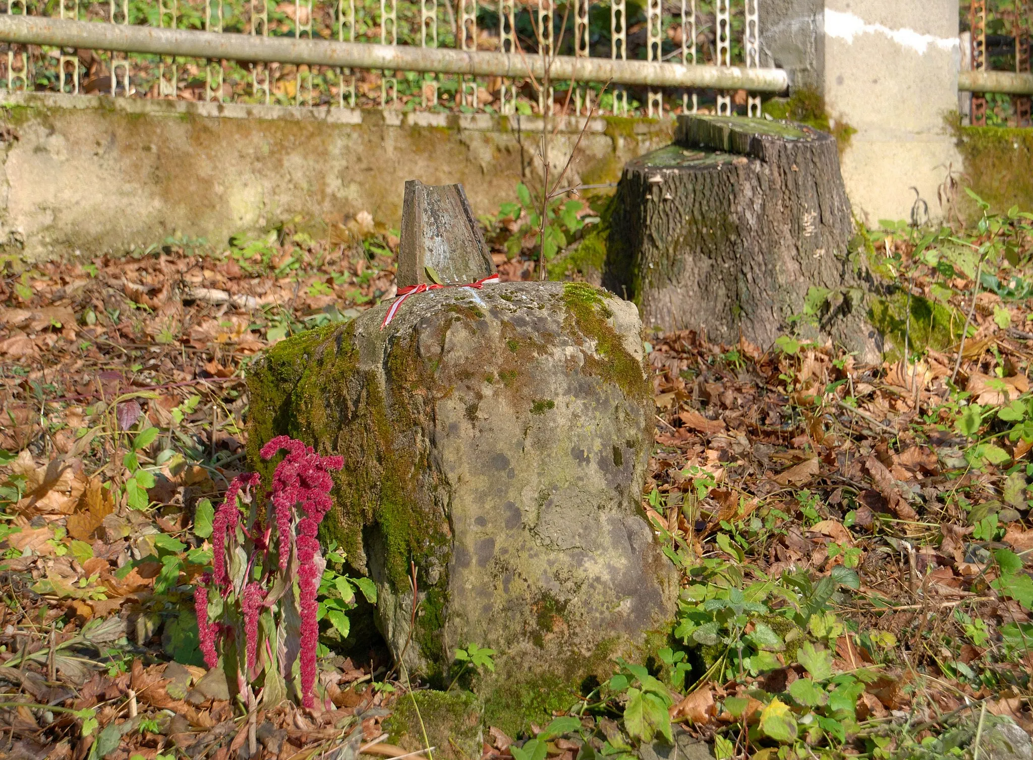 Photo showing: wieś Strzeszyn